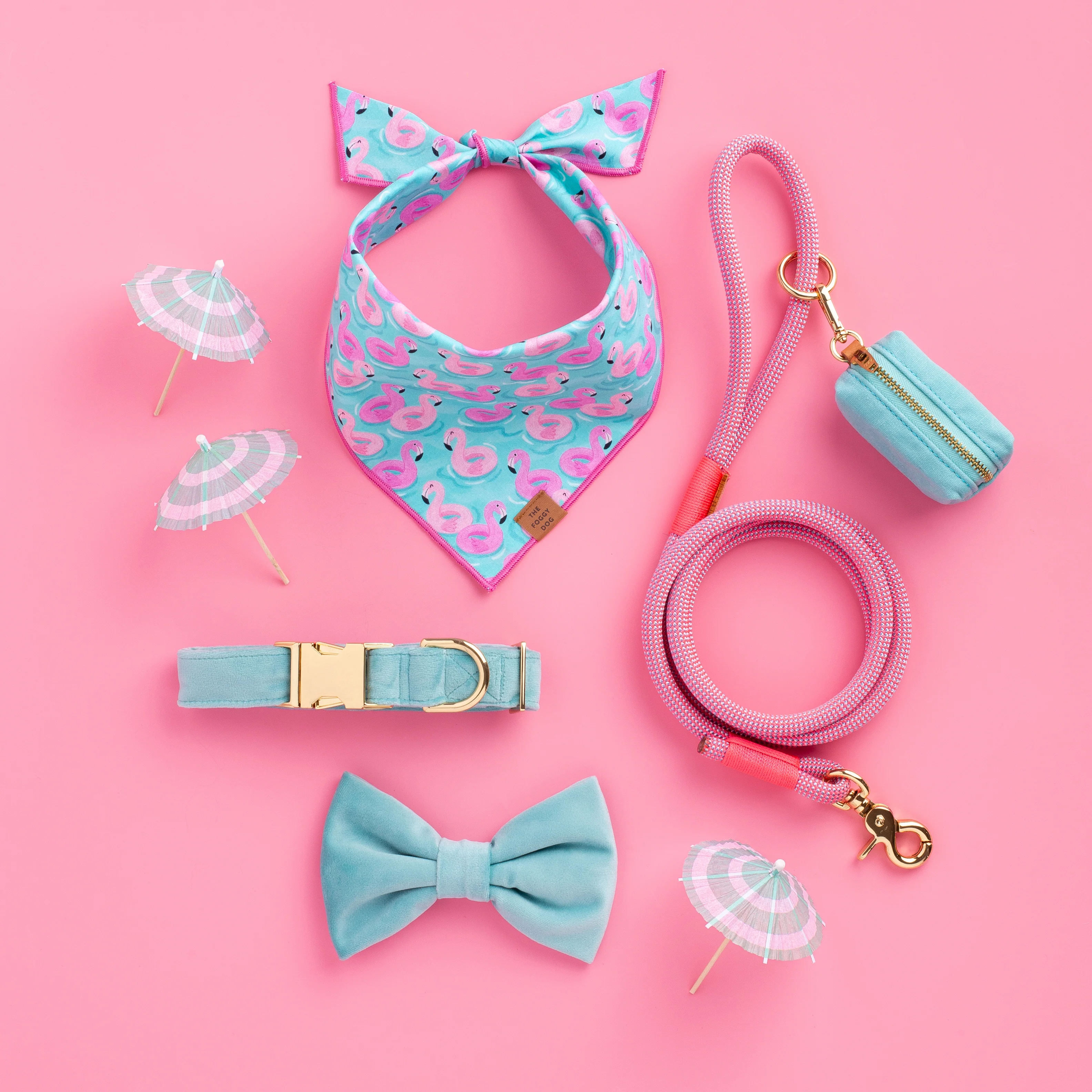 Robin’s Egg Velvet Dog Collar