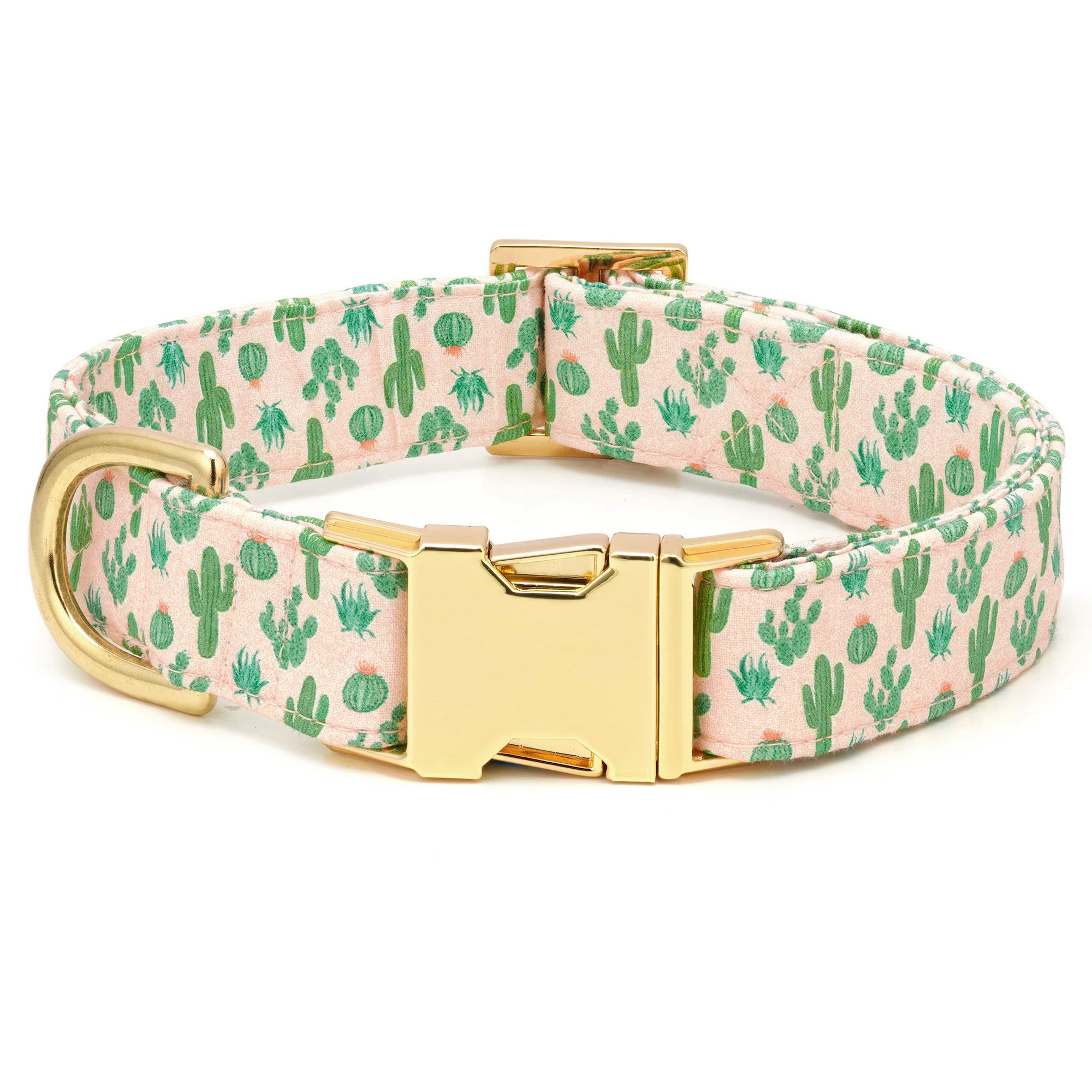 Desert Cactus Dog Collar
