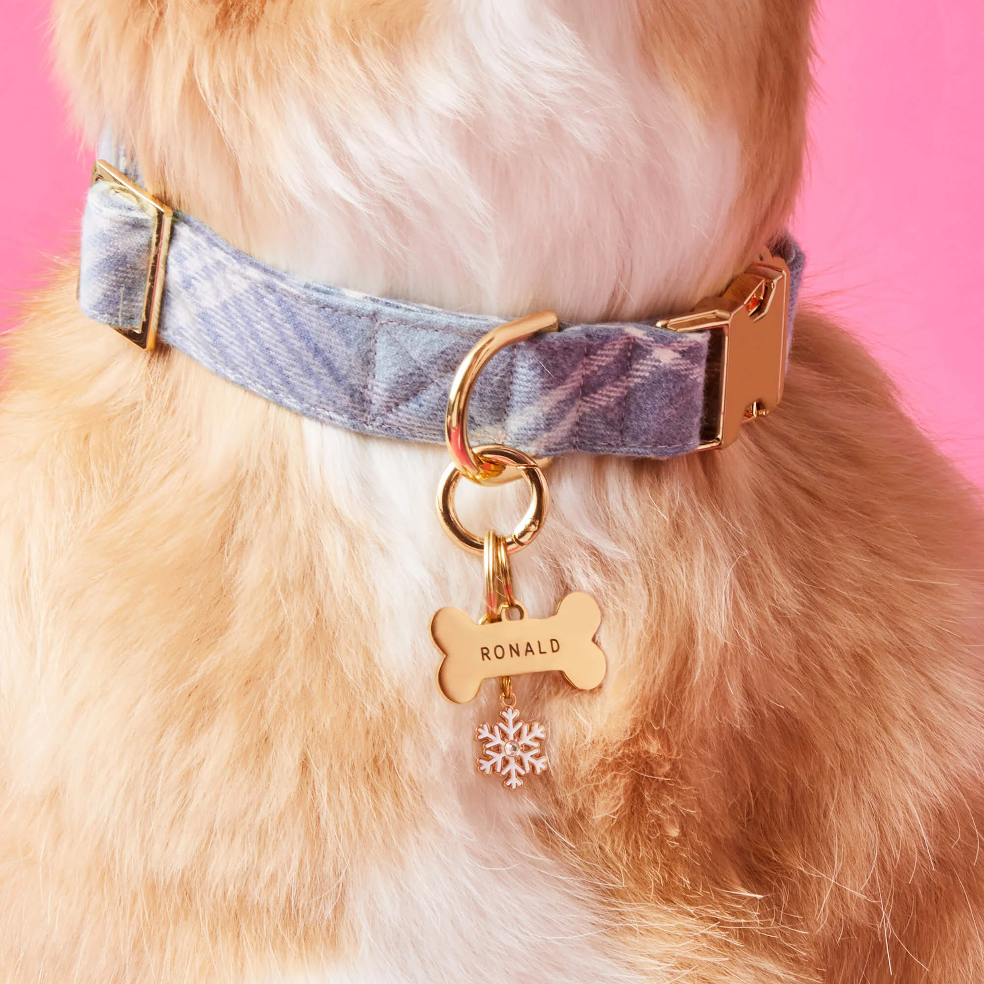 Merry + Bright Christmas Collar Charm Set