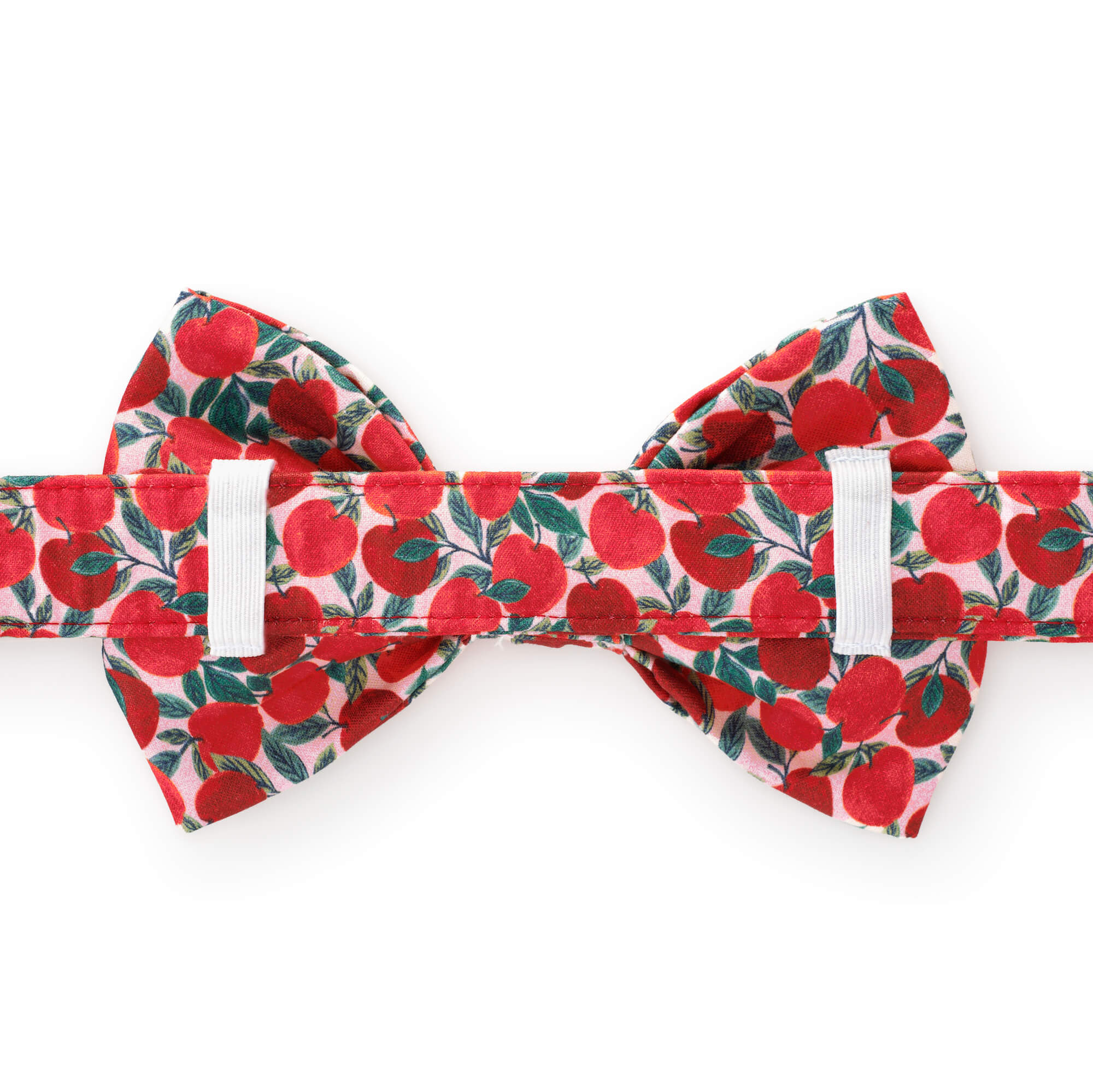 Apple of My Eye Dog Bow Tie