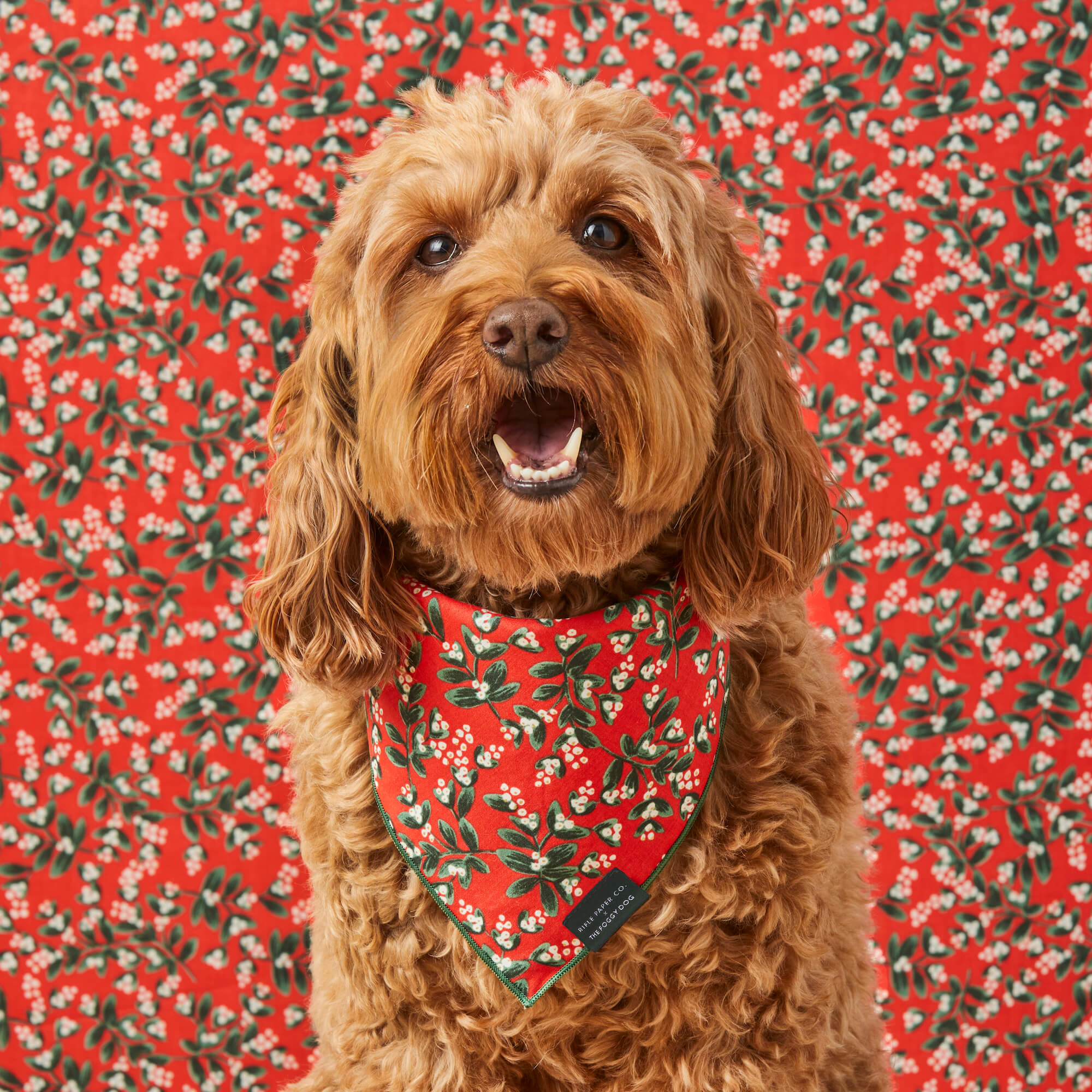 Rifle Paper Co. x TFD Mistletoe Dog Bandana