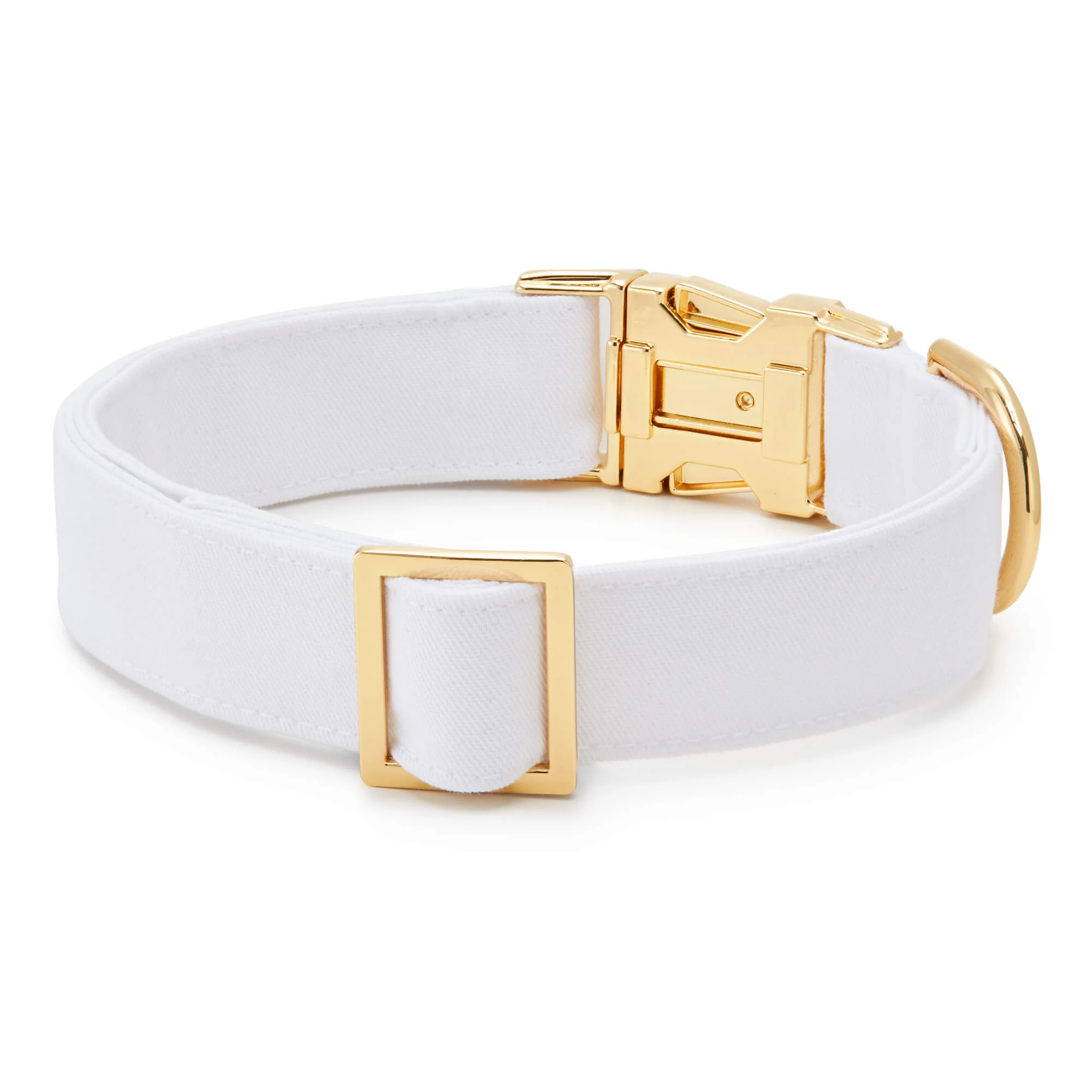 White Dog Collar
