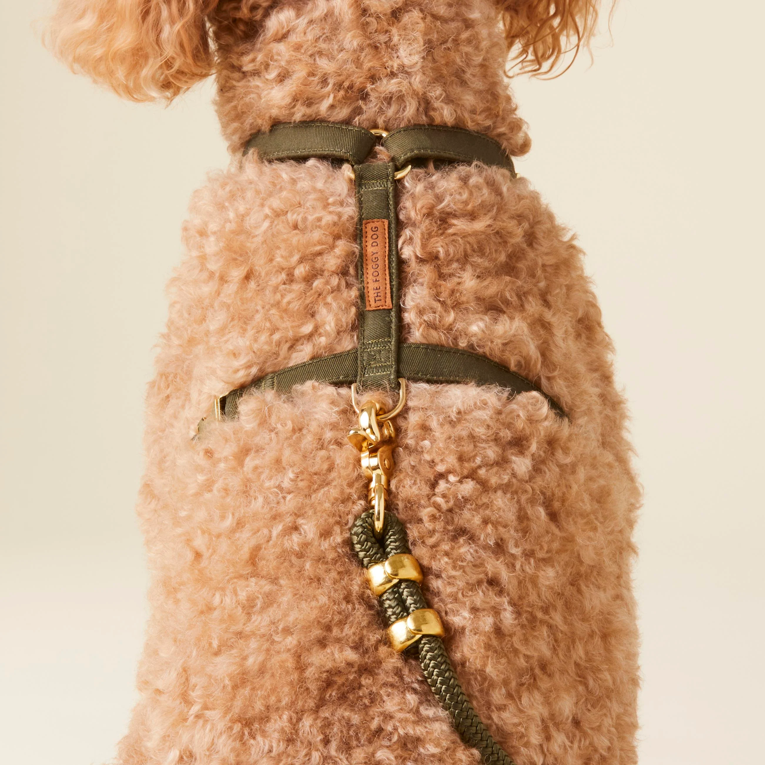 Olive Harness Walk Set