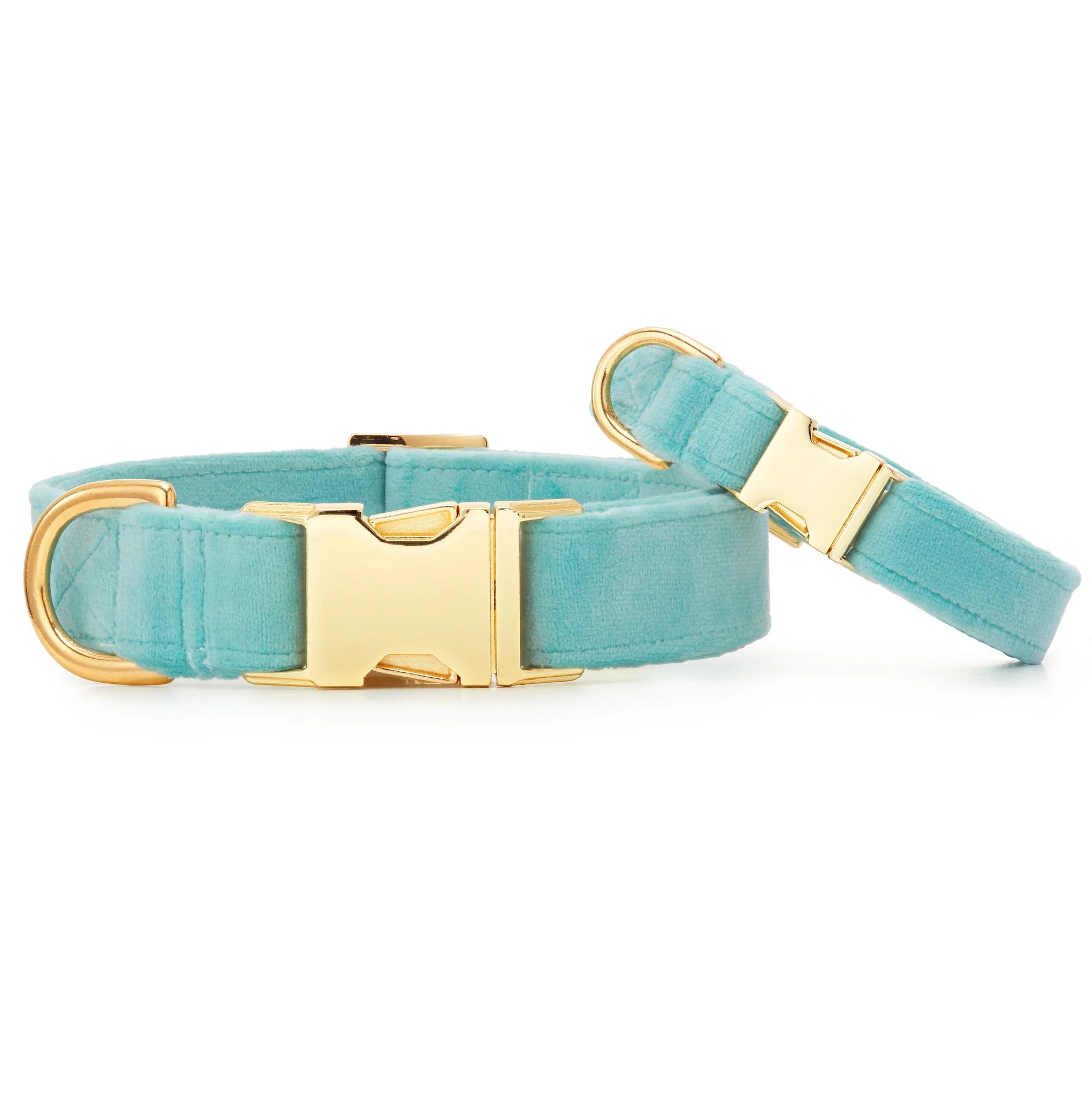 Robin’s Egg Velvet Dog Collar