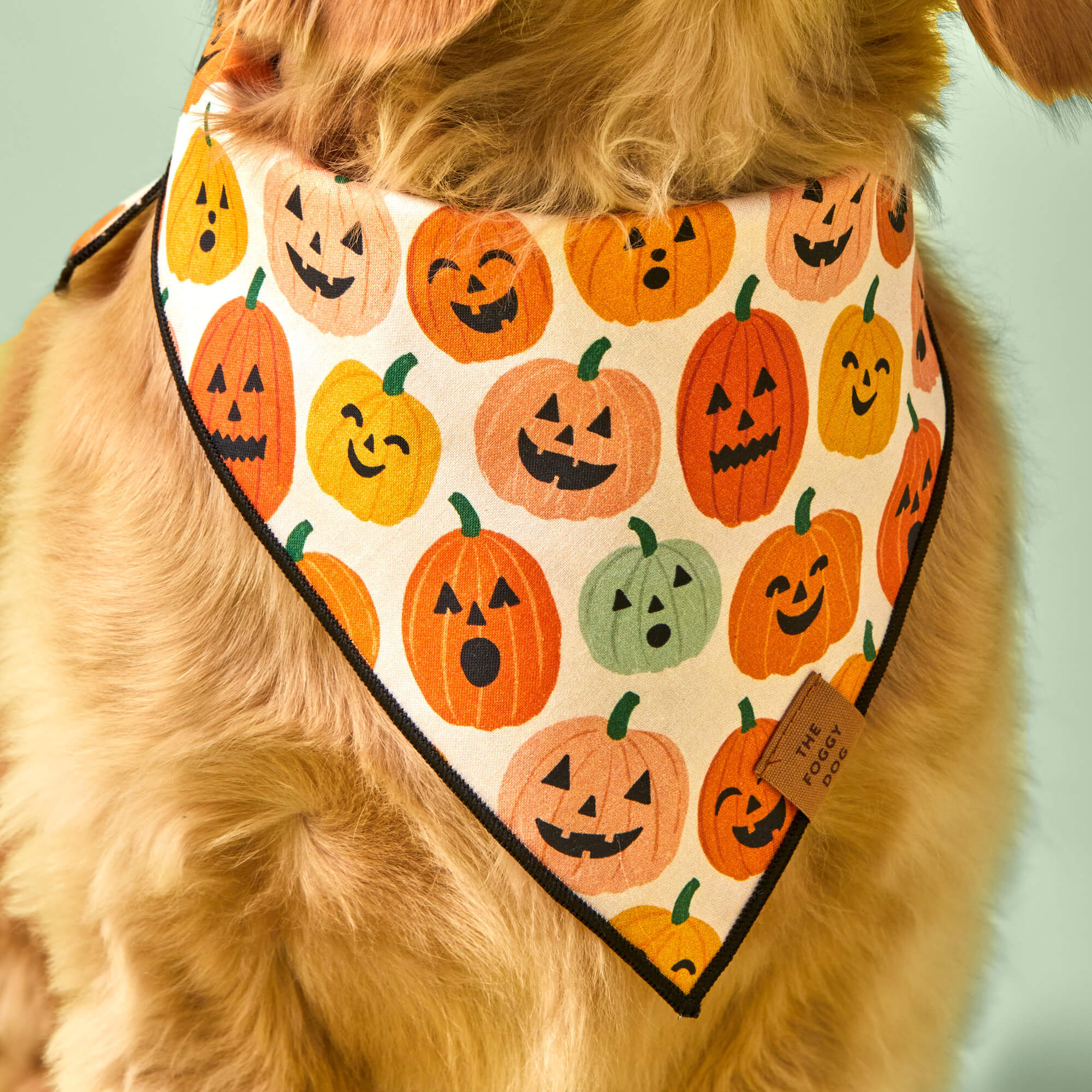 Jack-o’-Lanterns Reversible Dog Bandana