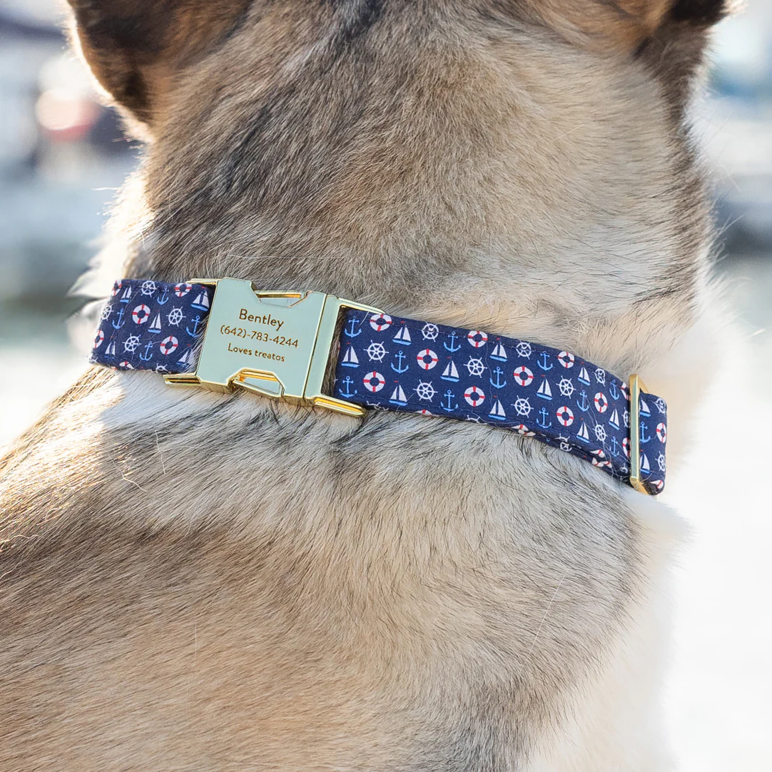 Sail Away Dog Collar