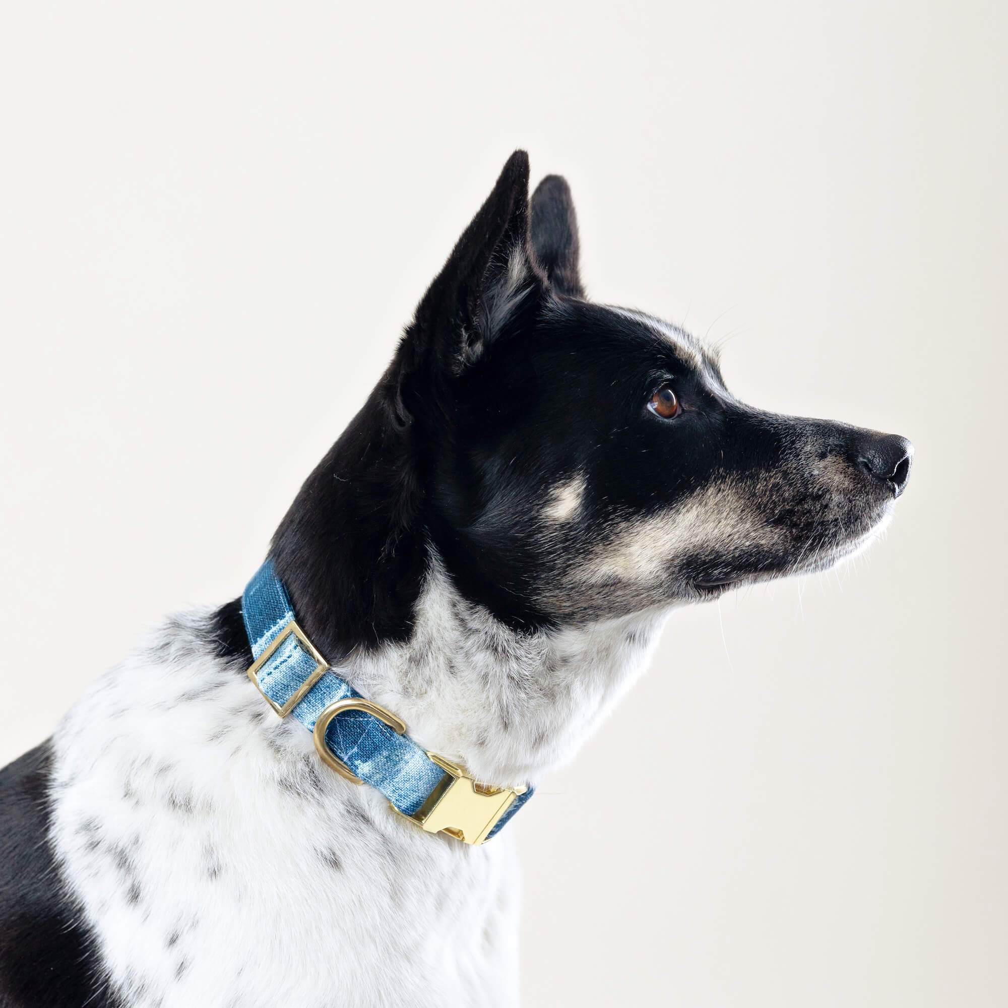 Indigo Mud Cloth Dog Collar