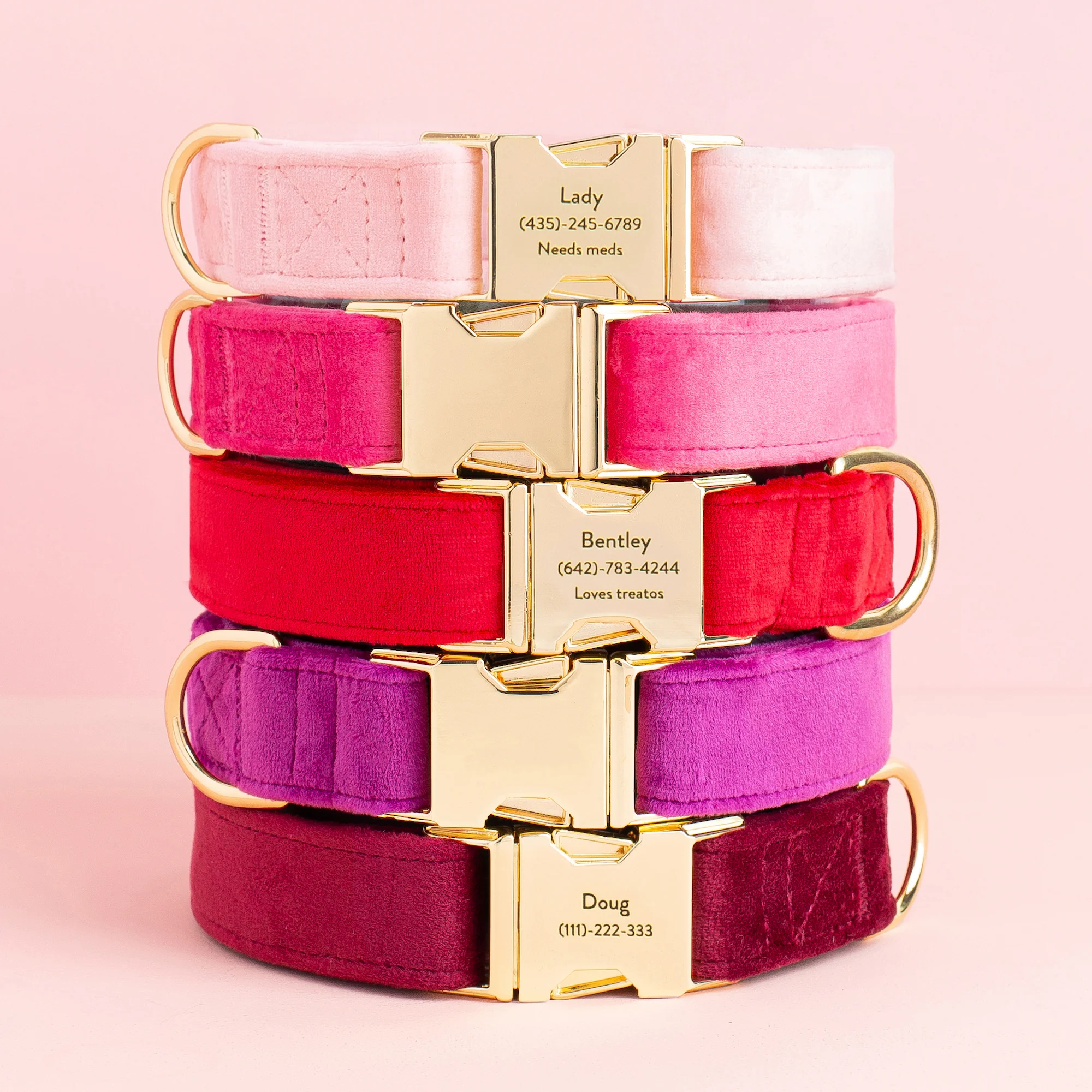 Plum Velvet Dog Collar