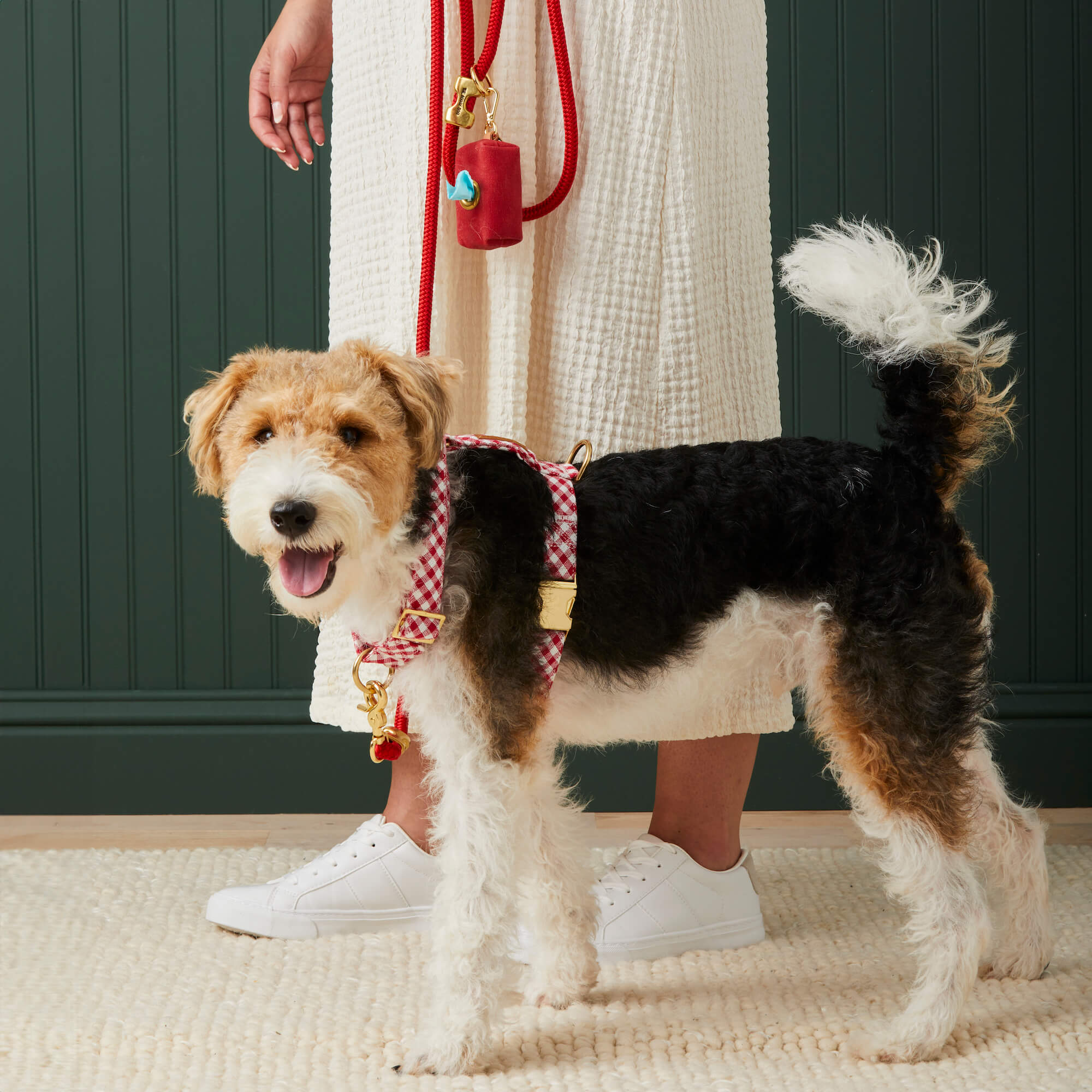 Red Gingham Harness Walk Set