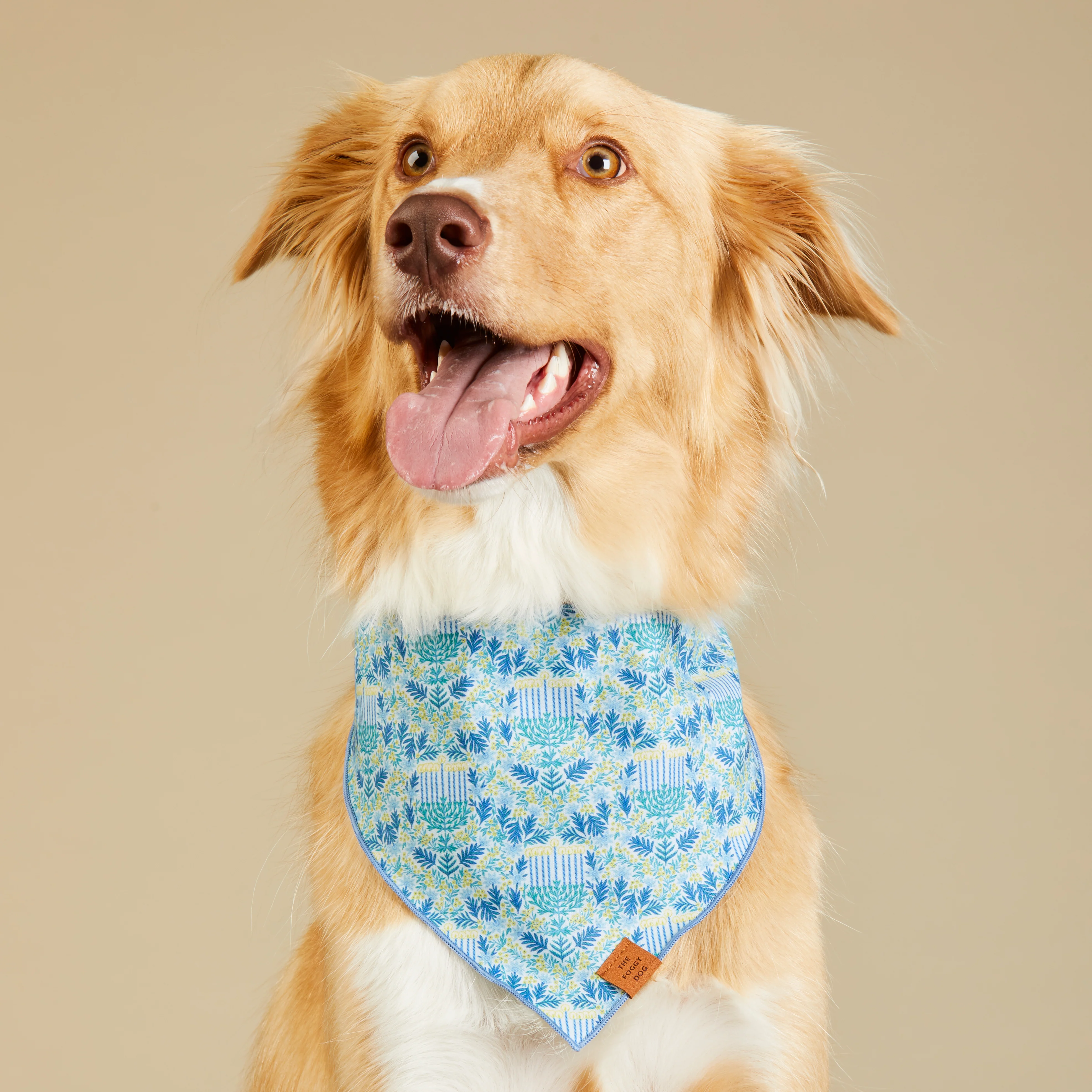 Flora Menorah Dog Bandana