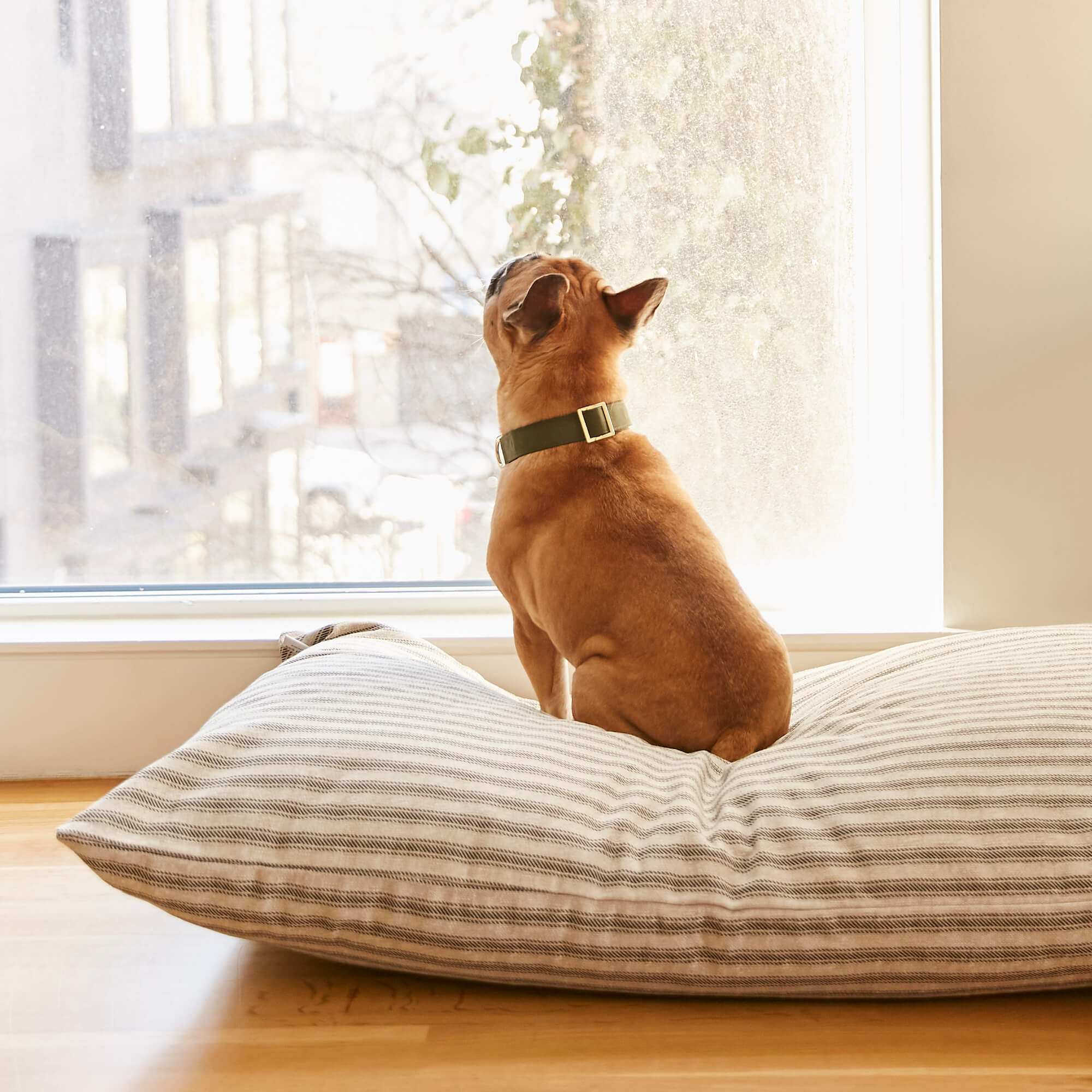 Ticking Stripe Dog Bed