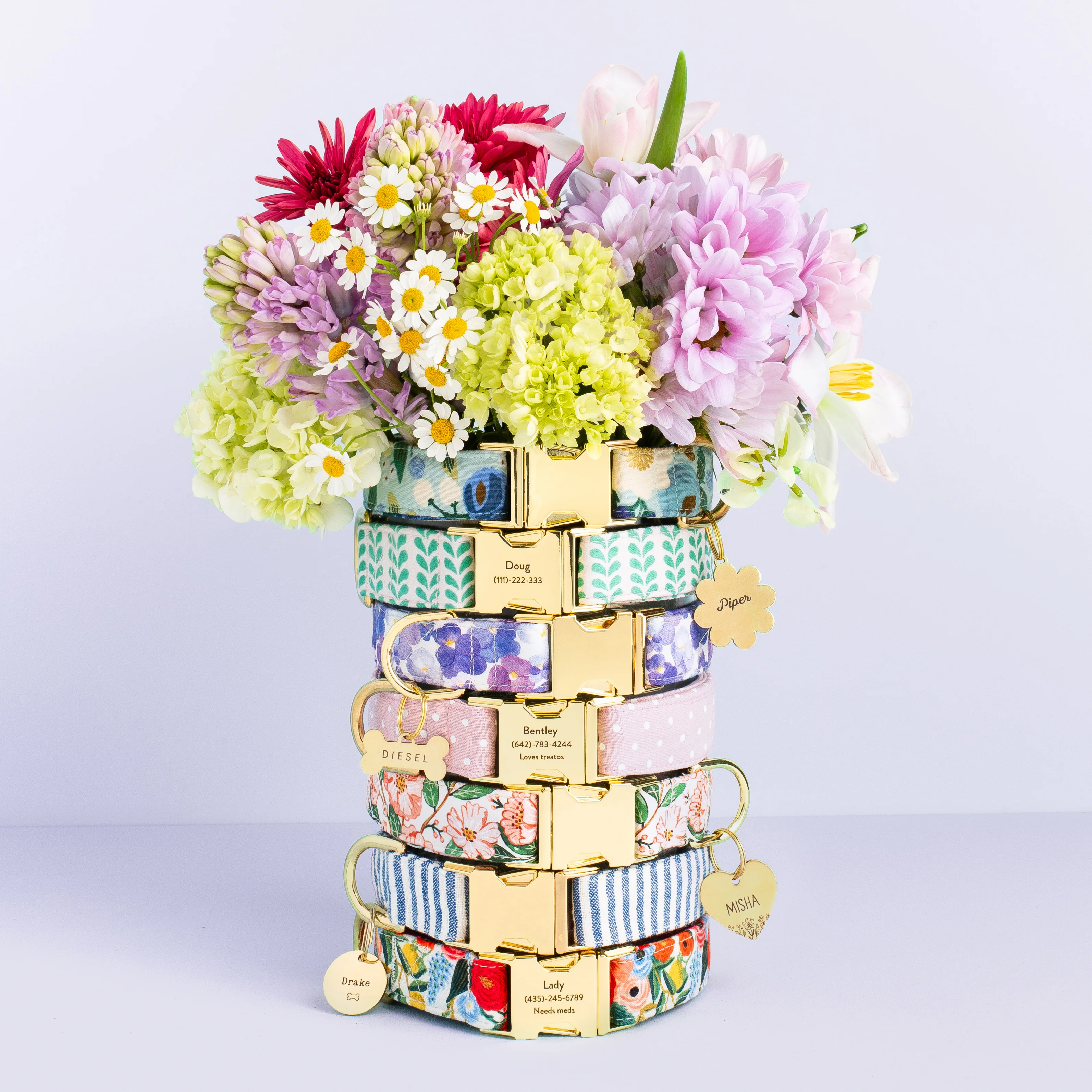 Pressed Pansies Dog Collar