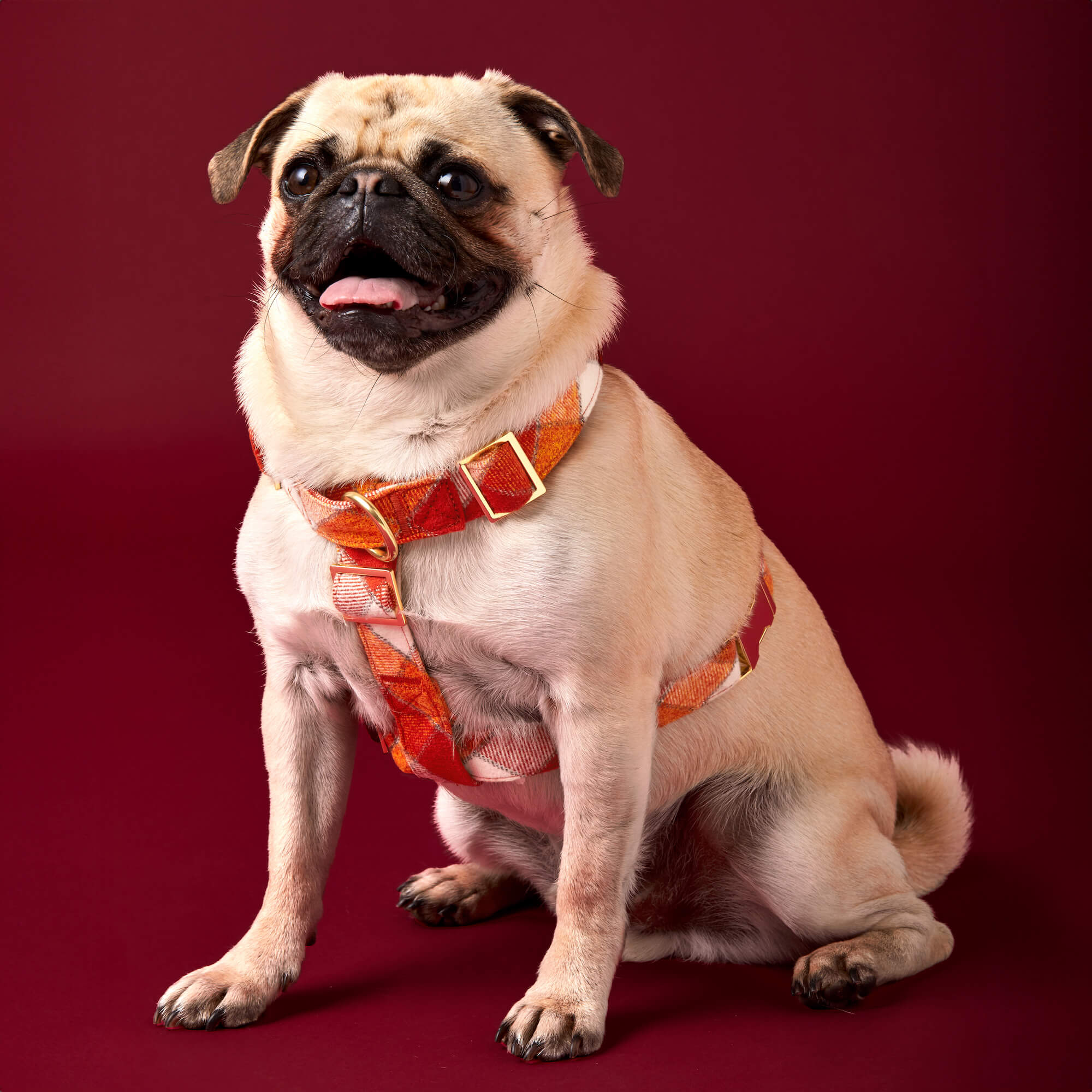 Pumpkin Spice Plaid Flannel Dog Harness