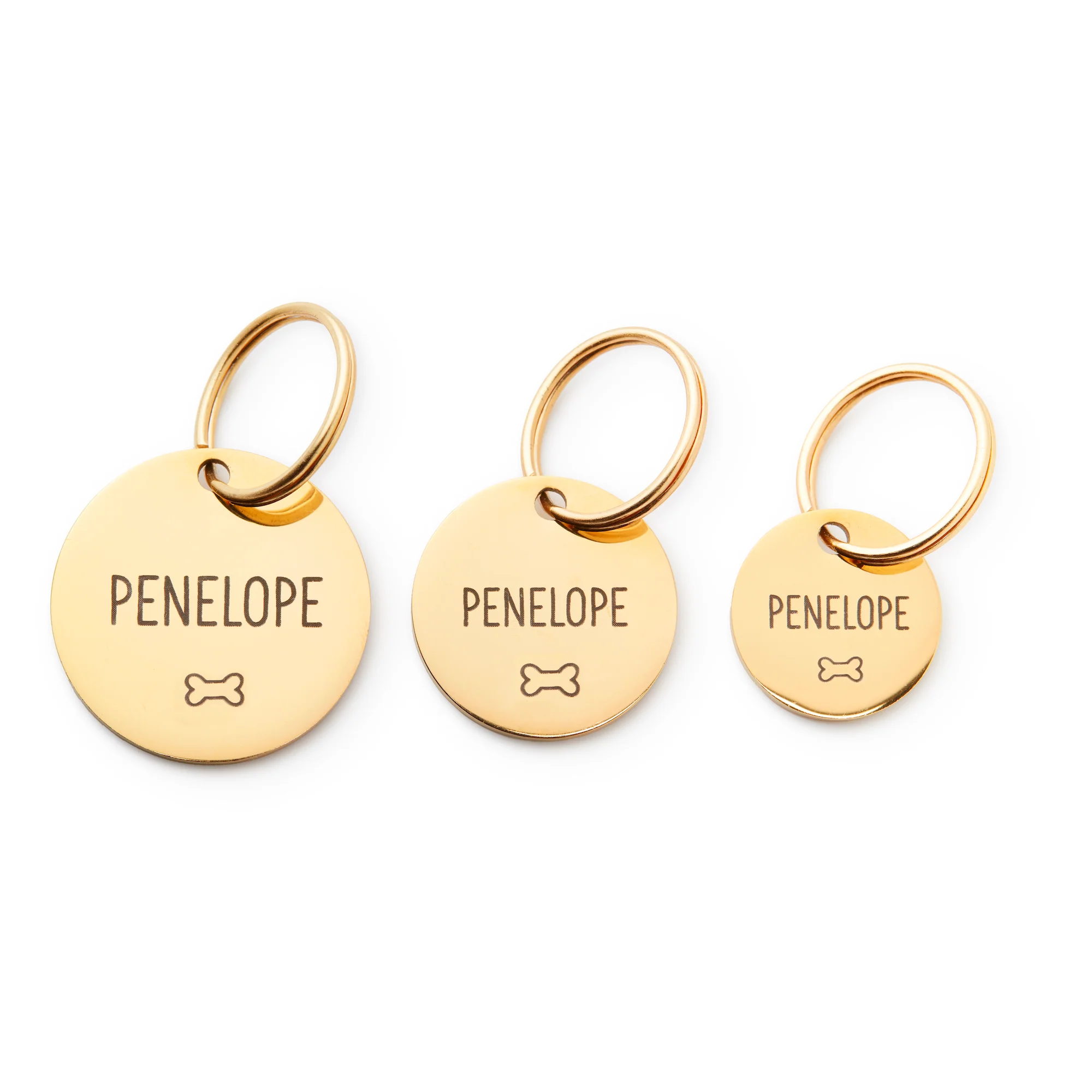 Circle Pet ID Tag: Bone Icon