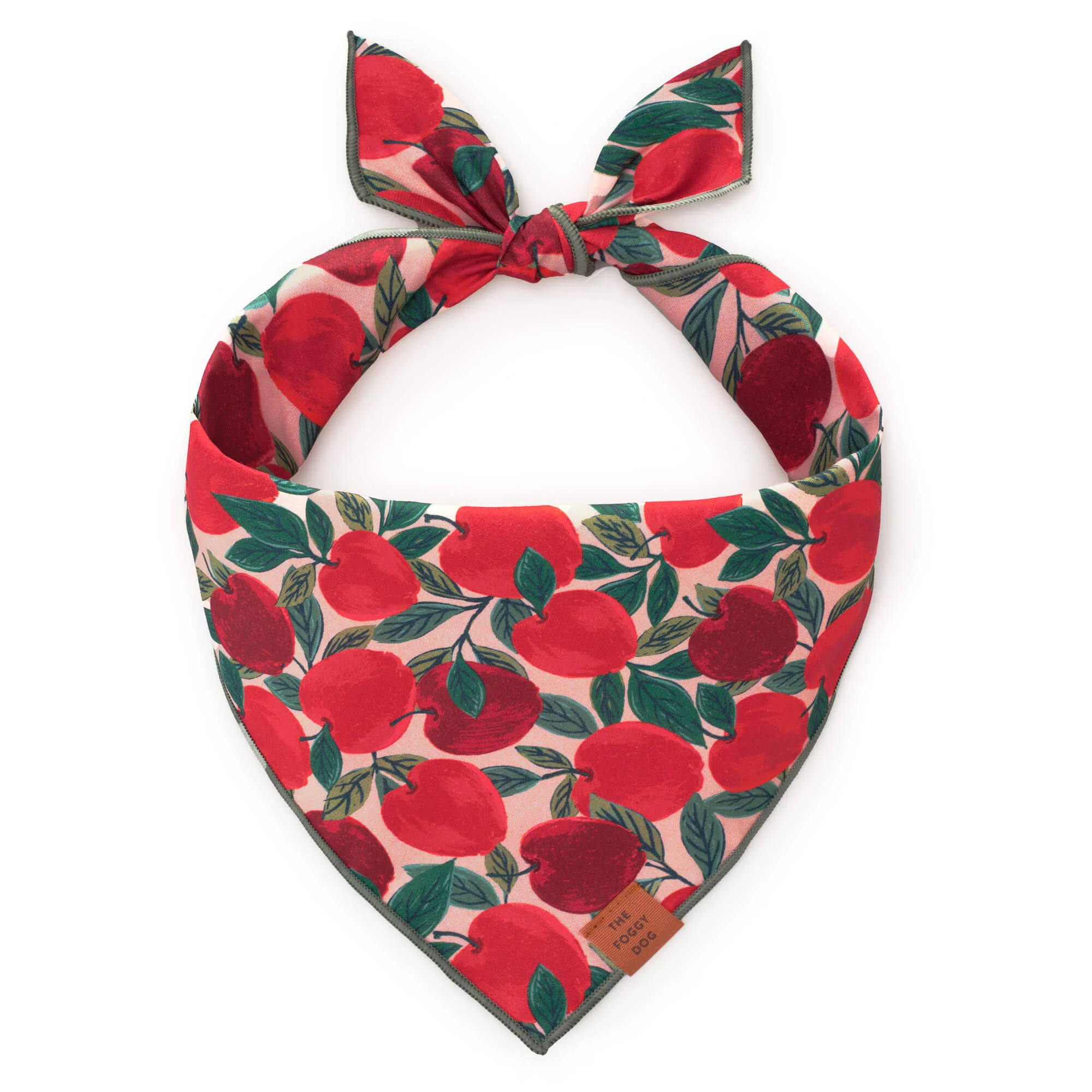 Apple of My Eye Dog Bandana