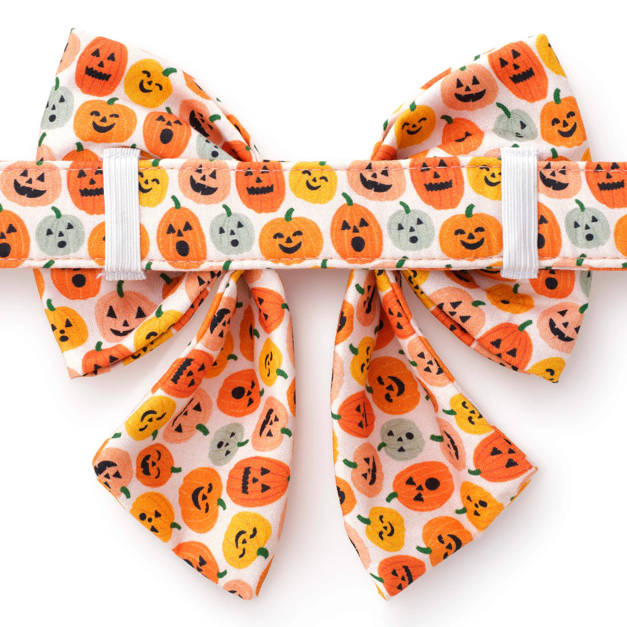 Jack-o’-Lanterns Lady Dog Bow