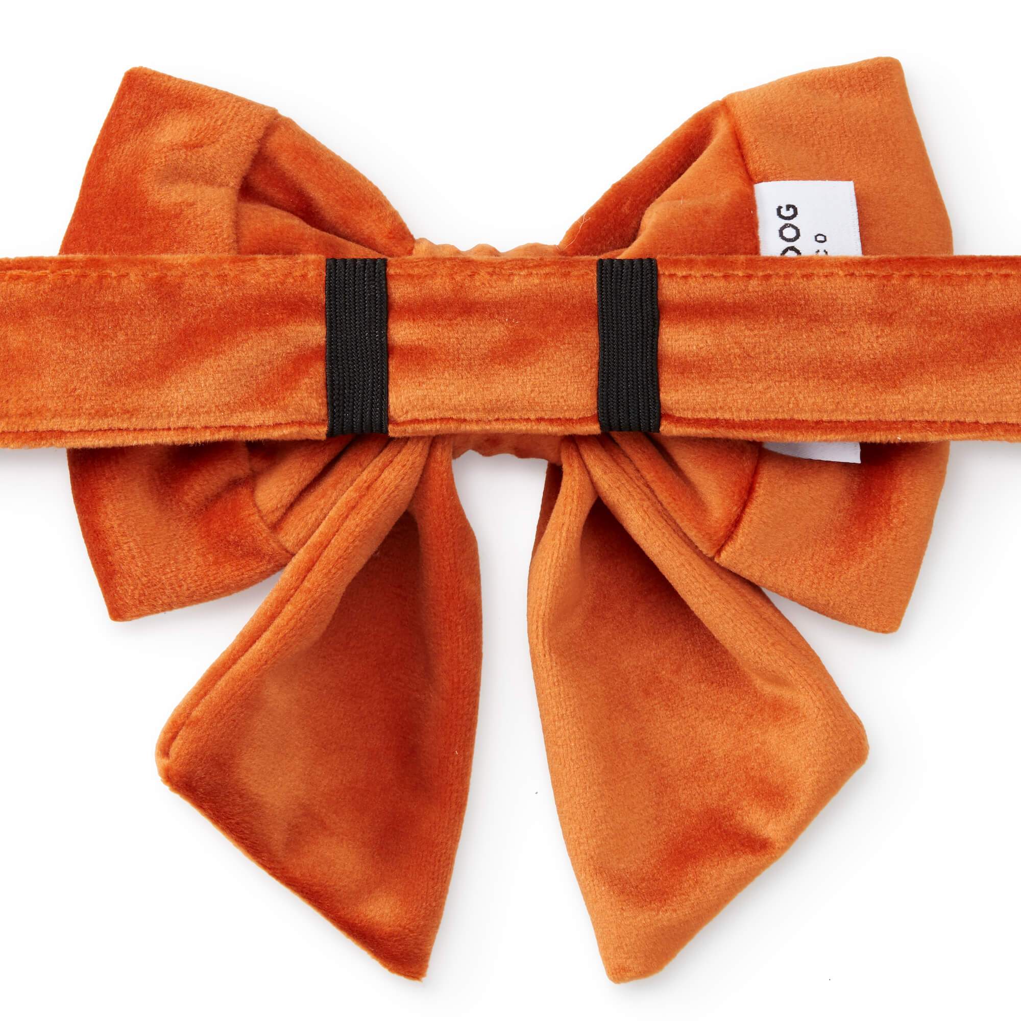 Pumpkin Velvet Lady Dog Bow
