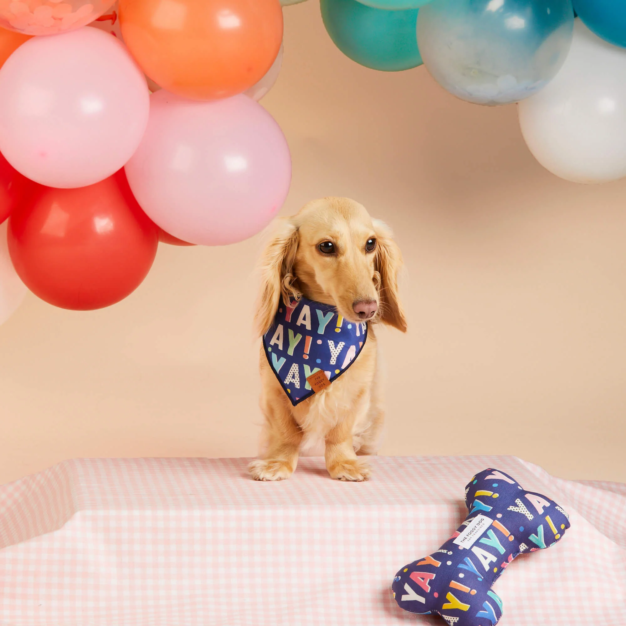 Birthday Yay Navy Dog Bandana
