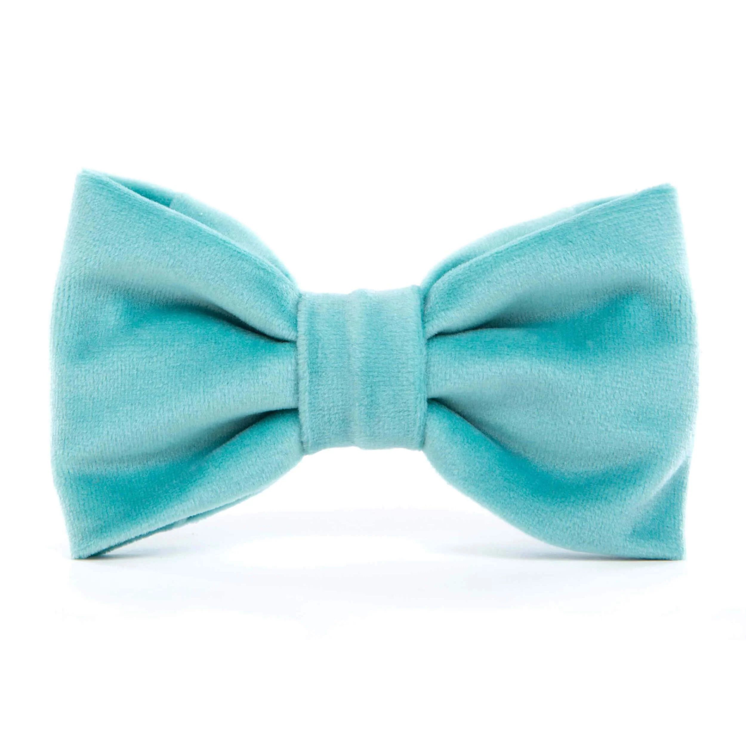 Robinβs Egg Velvet Dog Bow Tie