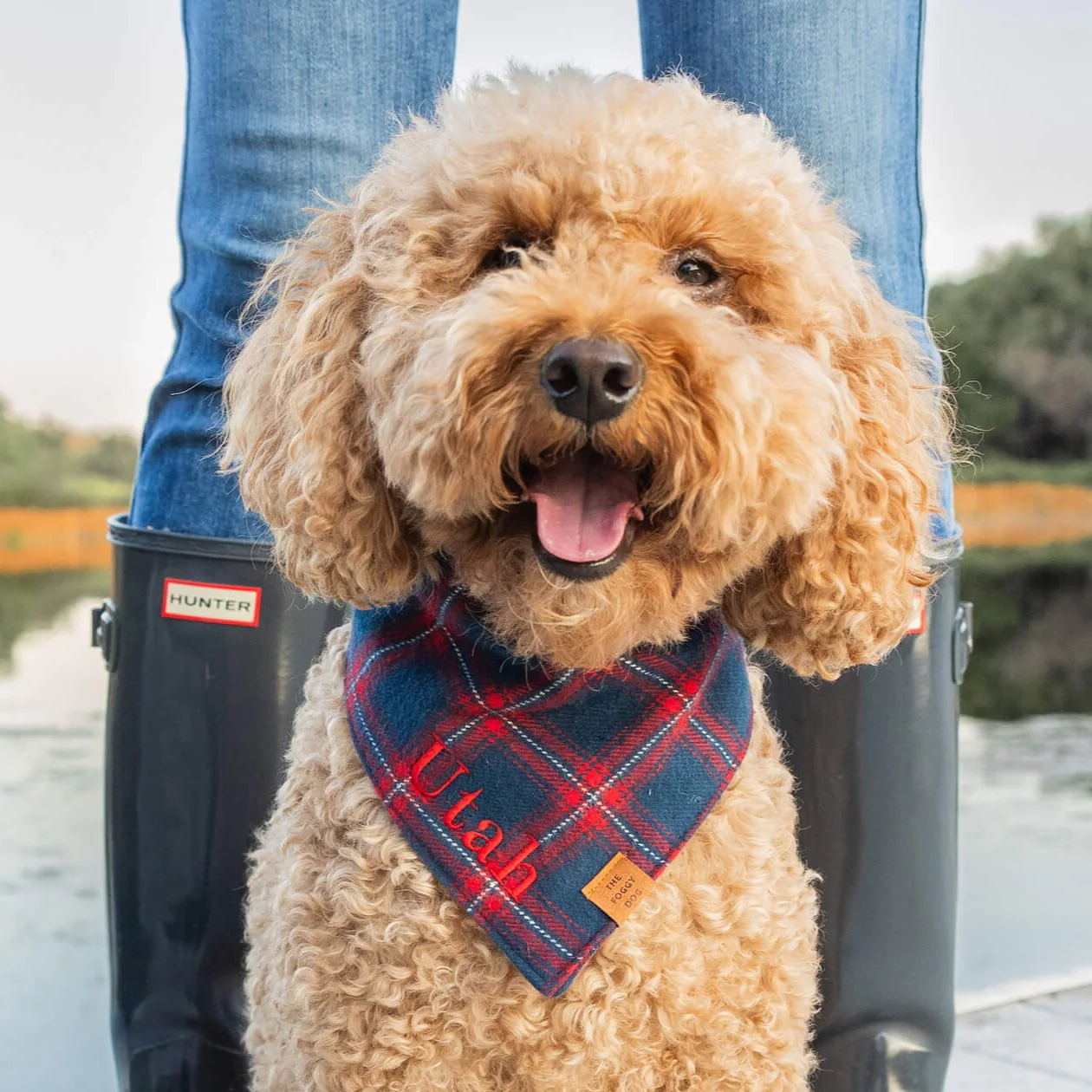 Kingston Plaid Flannel Dog Bandana