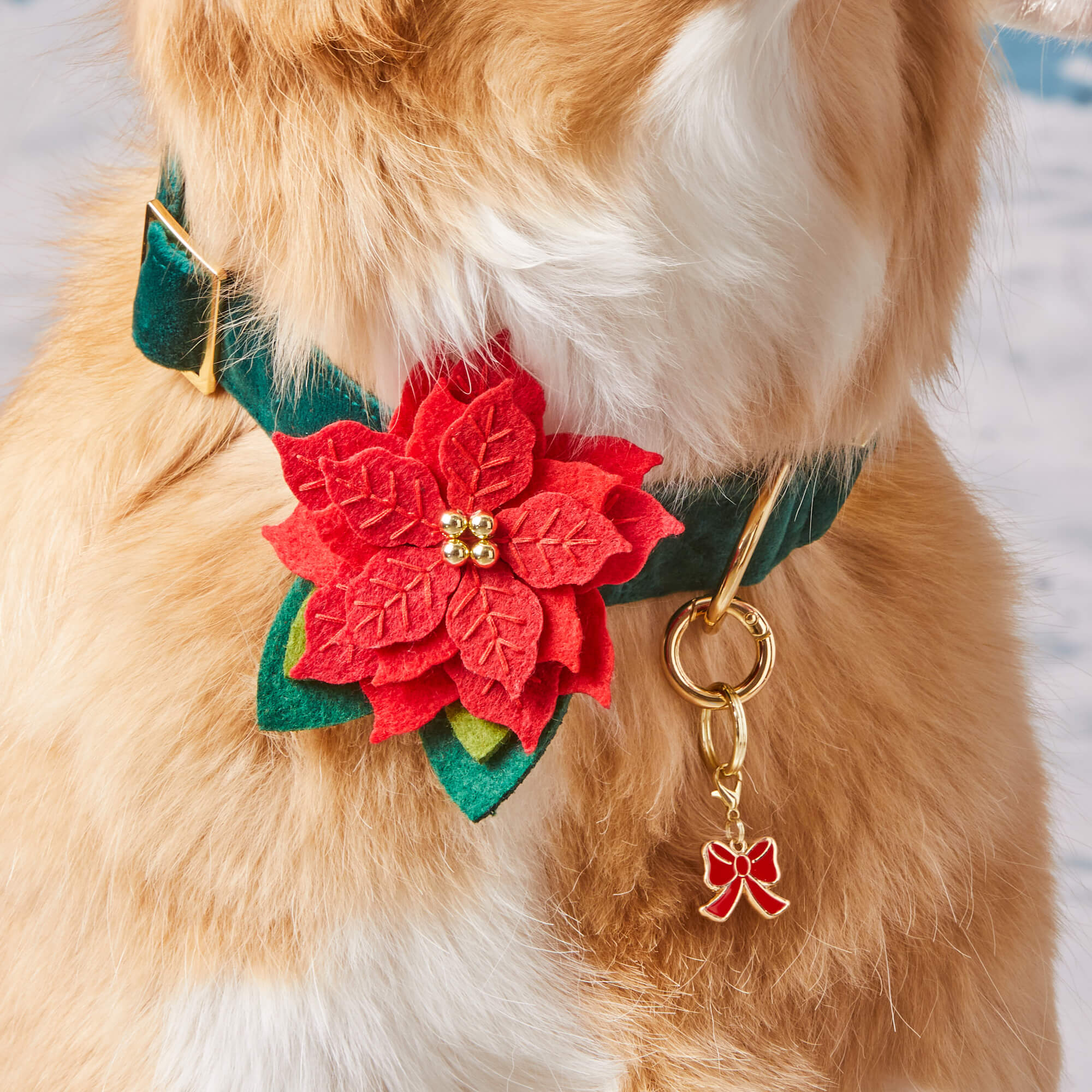 Poinsettia Dog Collar Flower Set