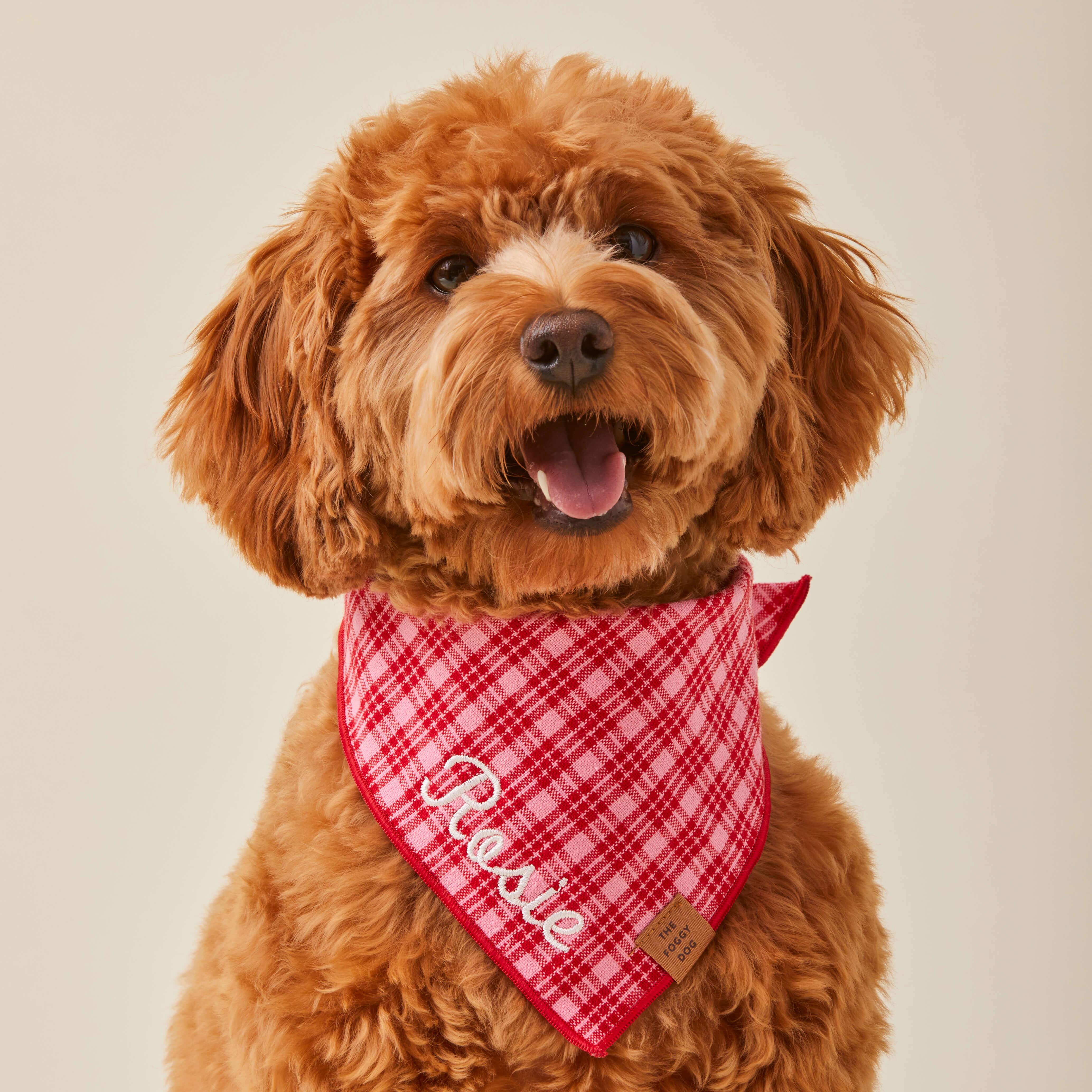 Heather Taylor Home x TFD Katherine Plaid Valentine Dog Bandana