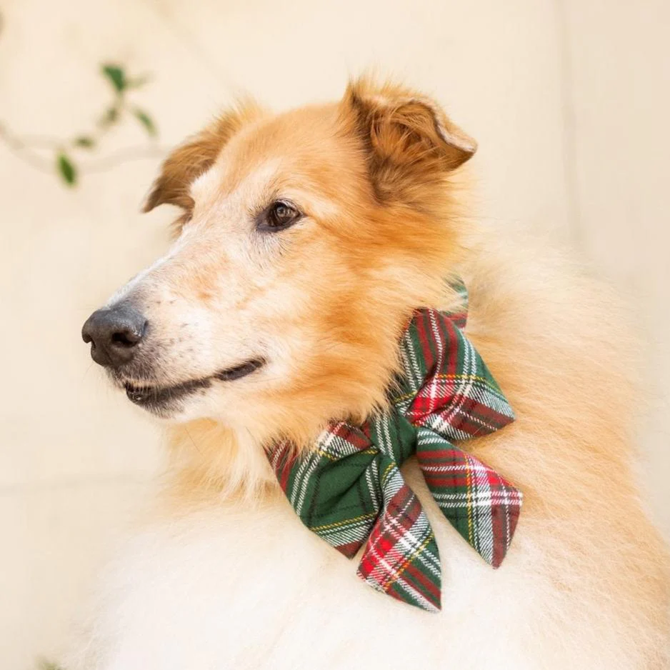 Holly Jolly Plaid Flannel Lady Bow Collar