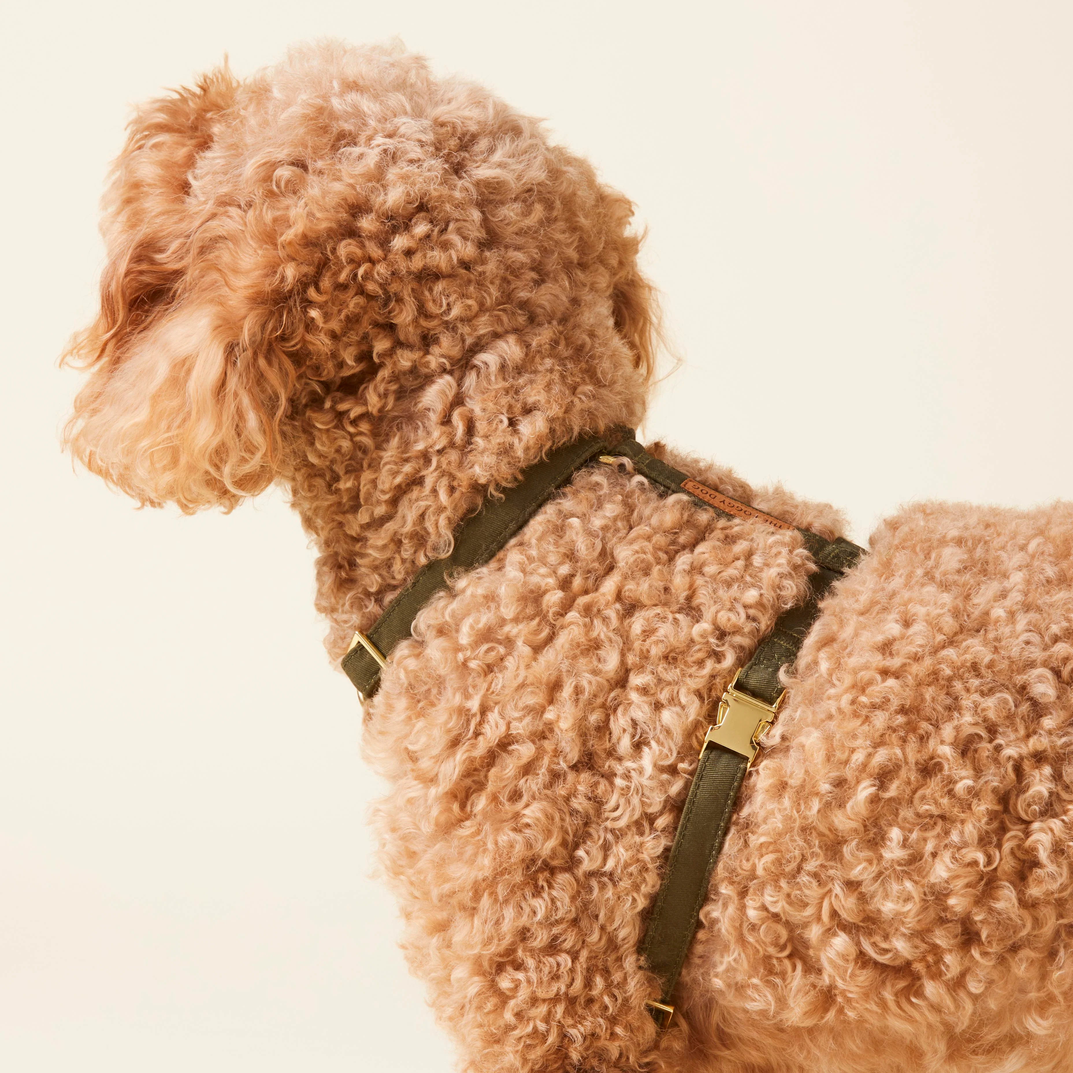 Olive Dog Harness