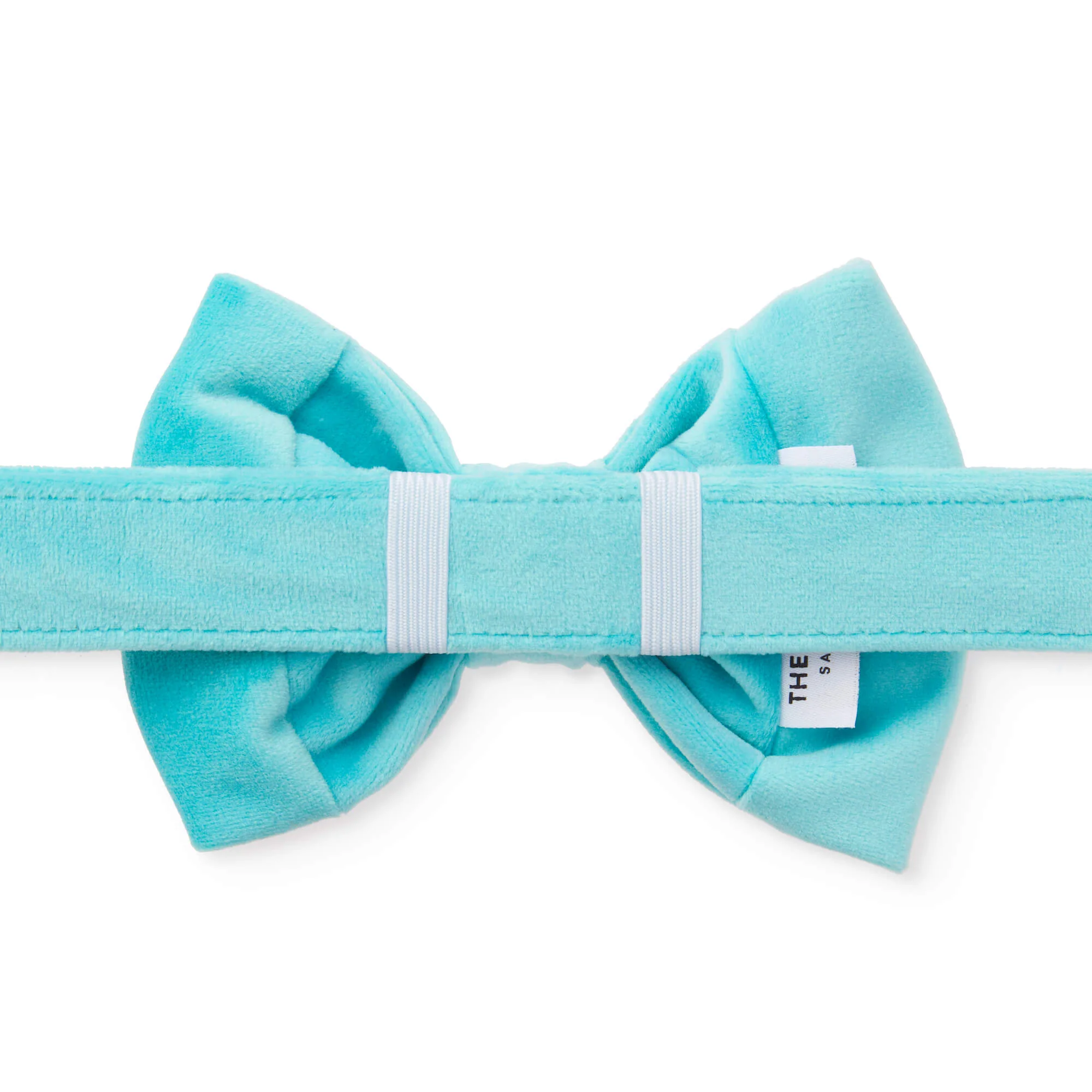 Robinβs Egg Velvet Dog Bow Tie