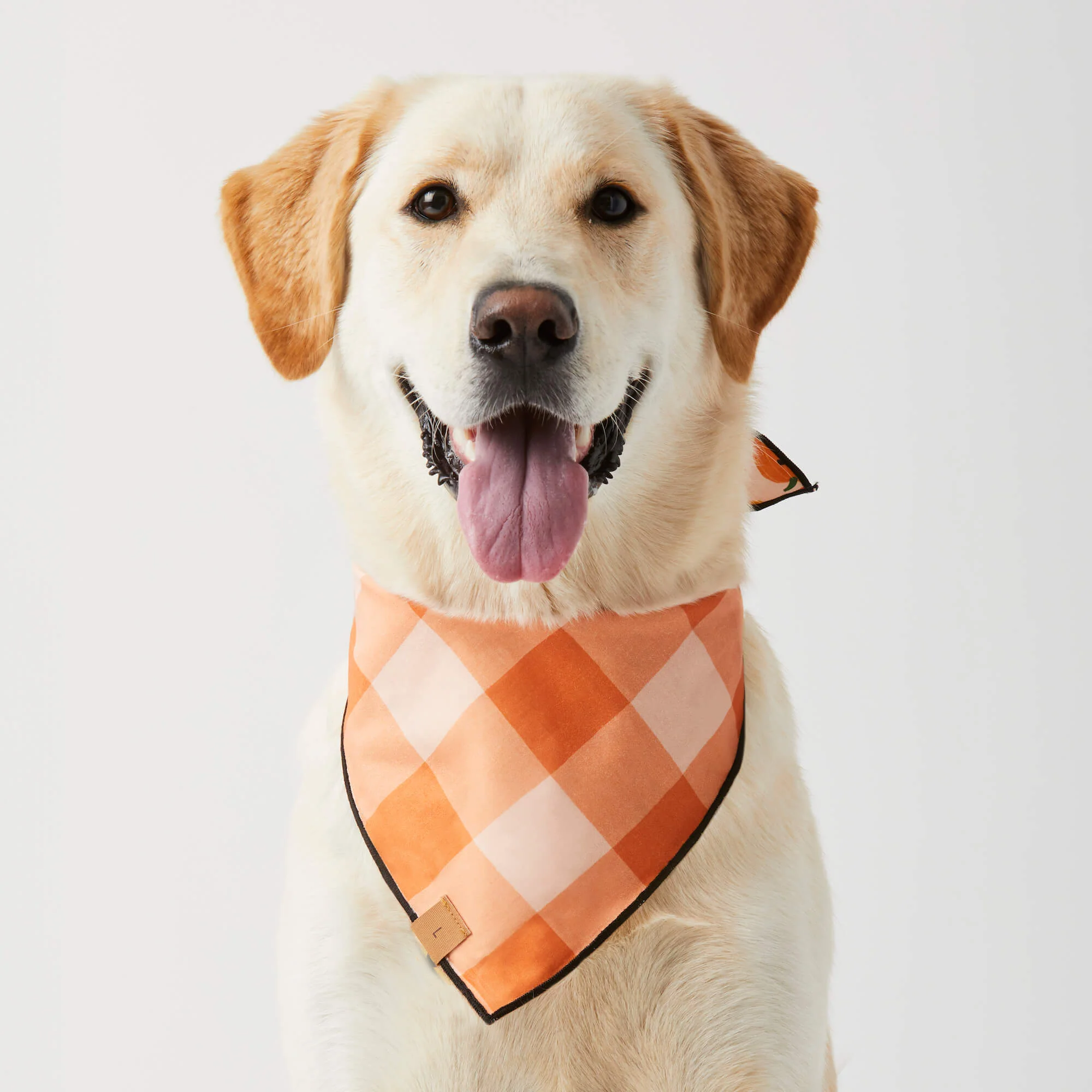 Jack-o’-Lanterns Reversible Dog Bandana