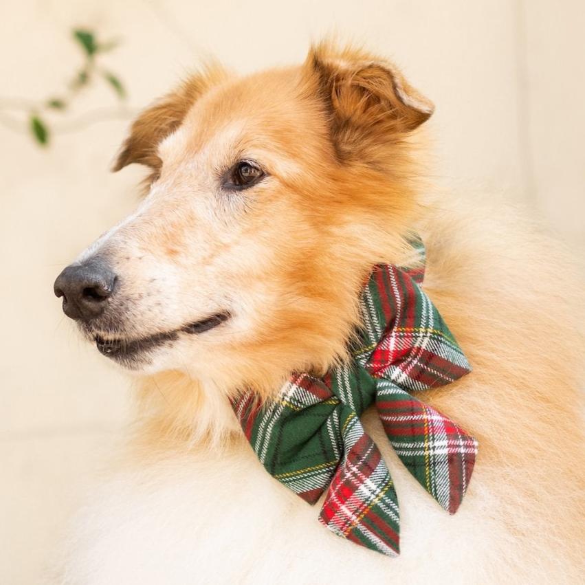 Holly Jolly Plaid Flannel Lady Dog Bow