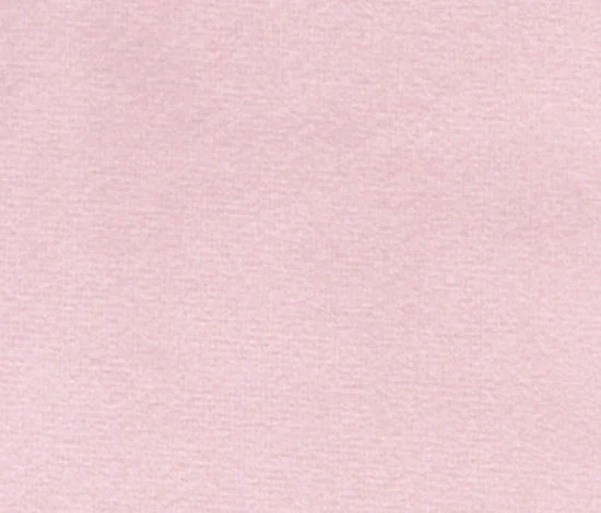 Blush Pink Velvet Dog Collar