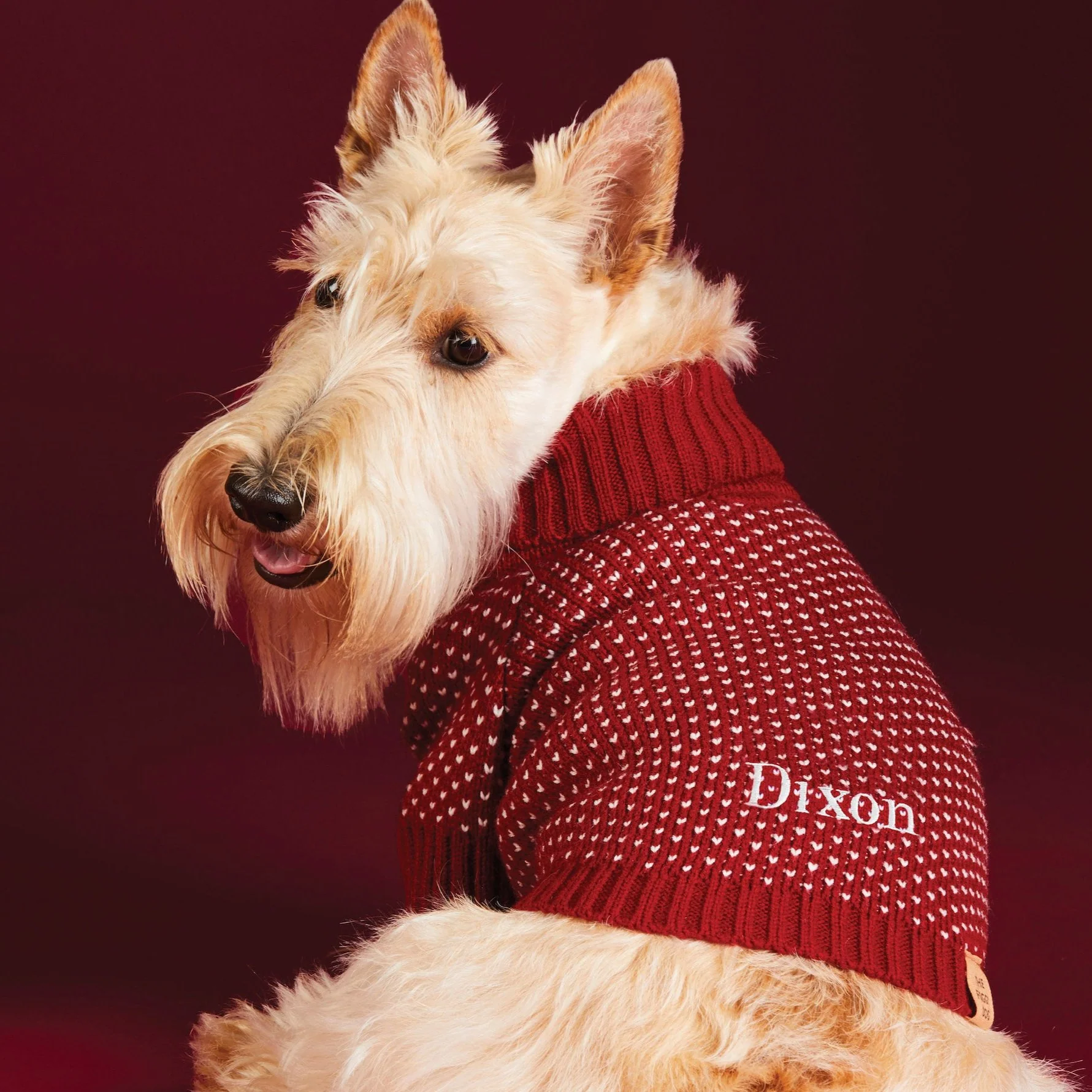 Heart Stitch Dog Sweater