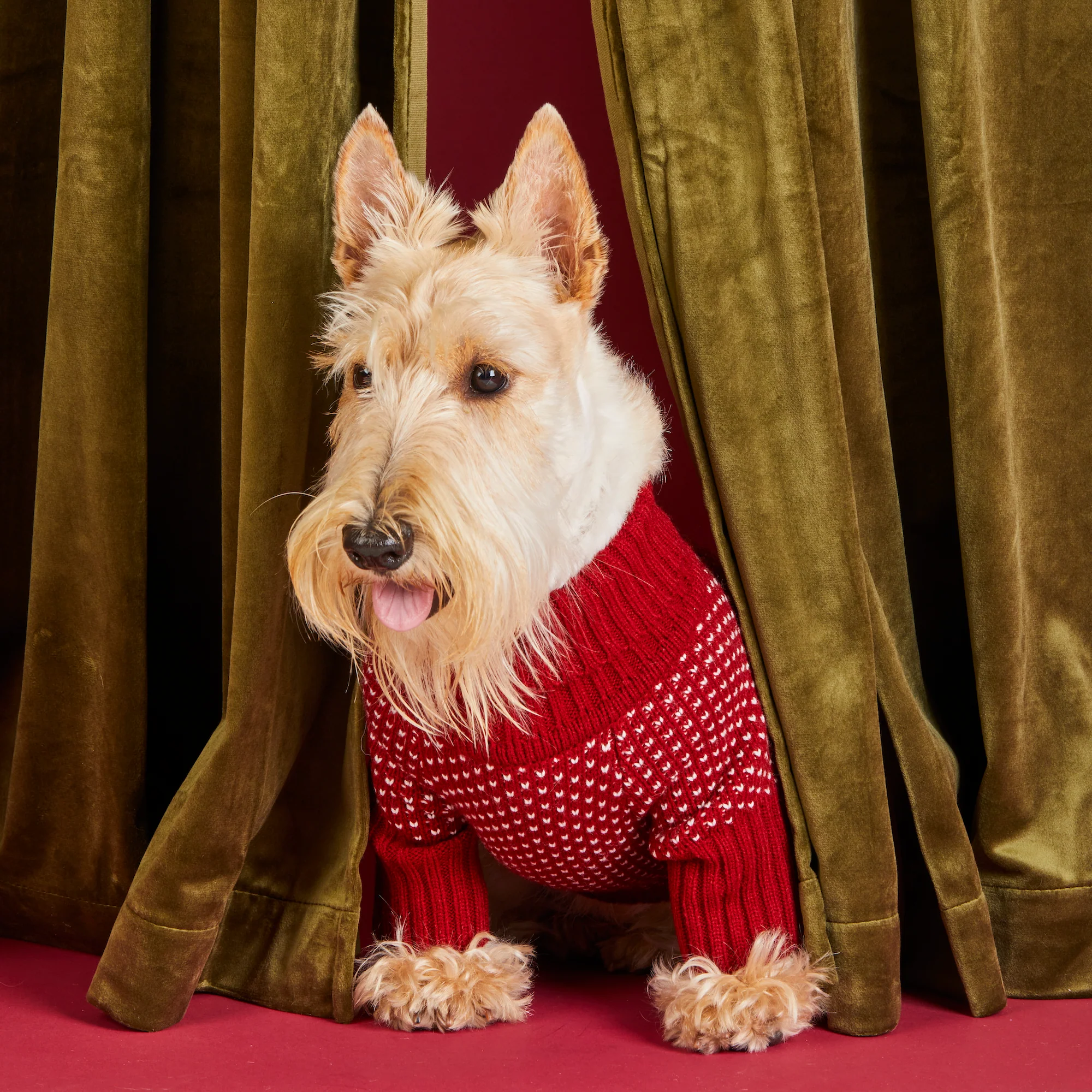 Heart Stitch Dog Sweater