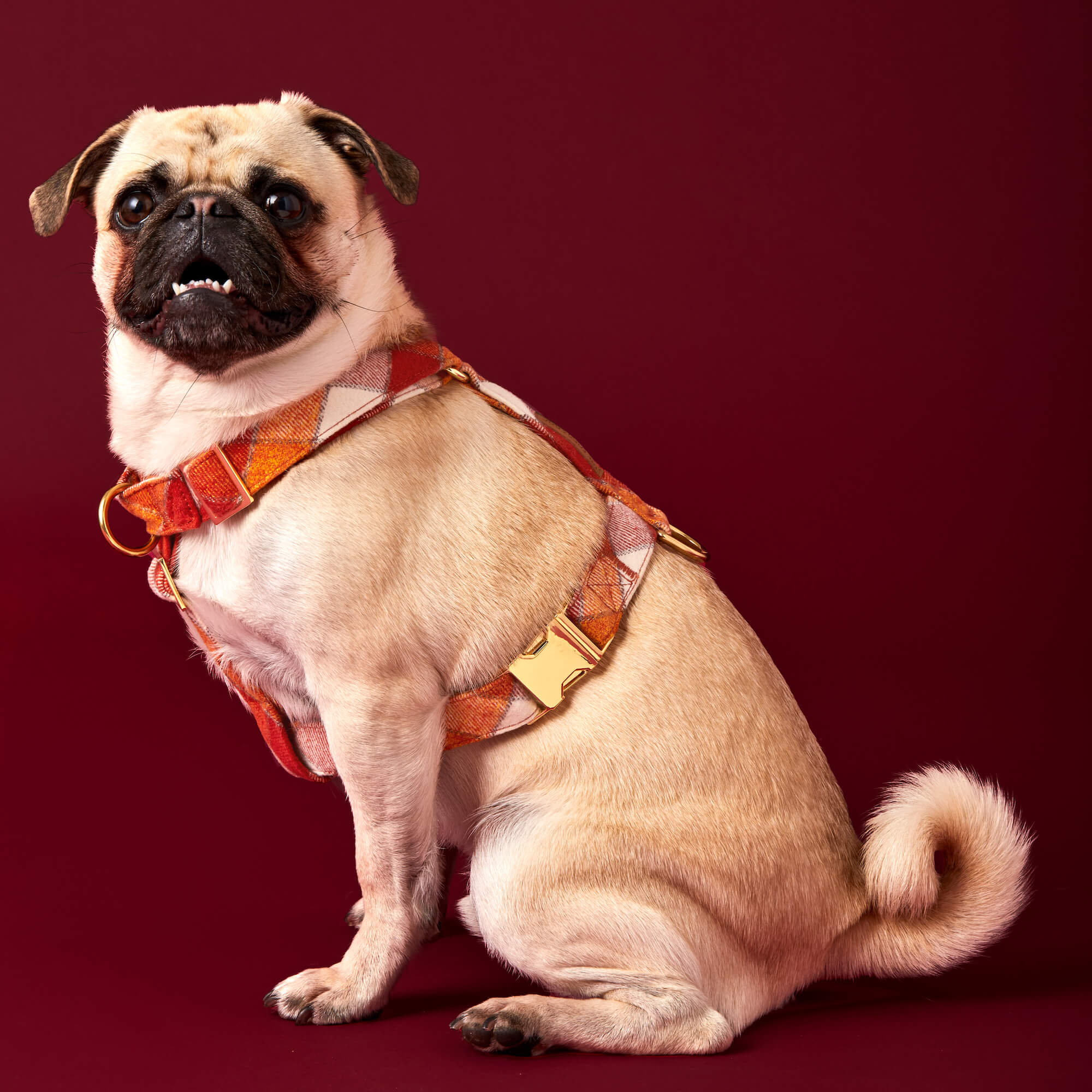 Pumpkin Spice Plaid Flannel Dog Harness