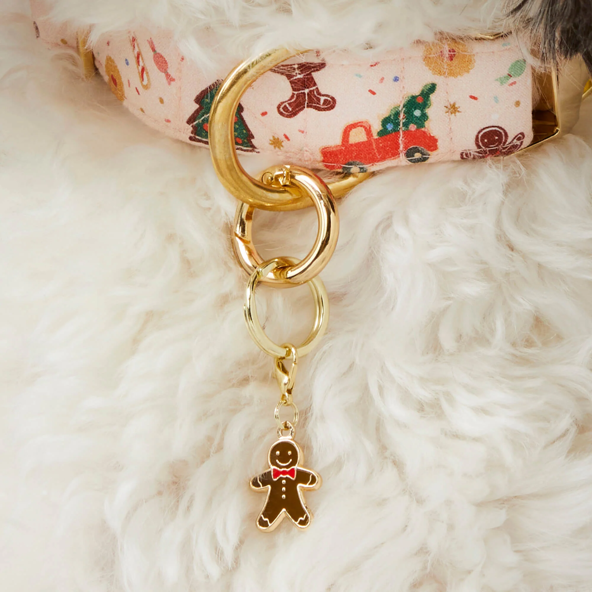 Holly Jolly Christmas Collar Charm Set