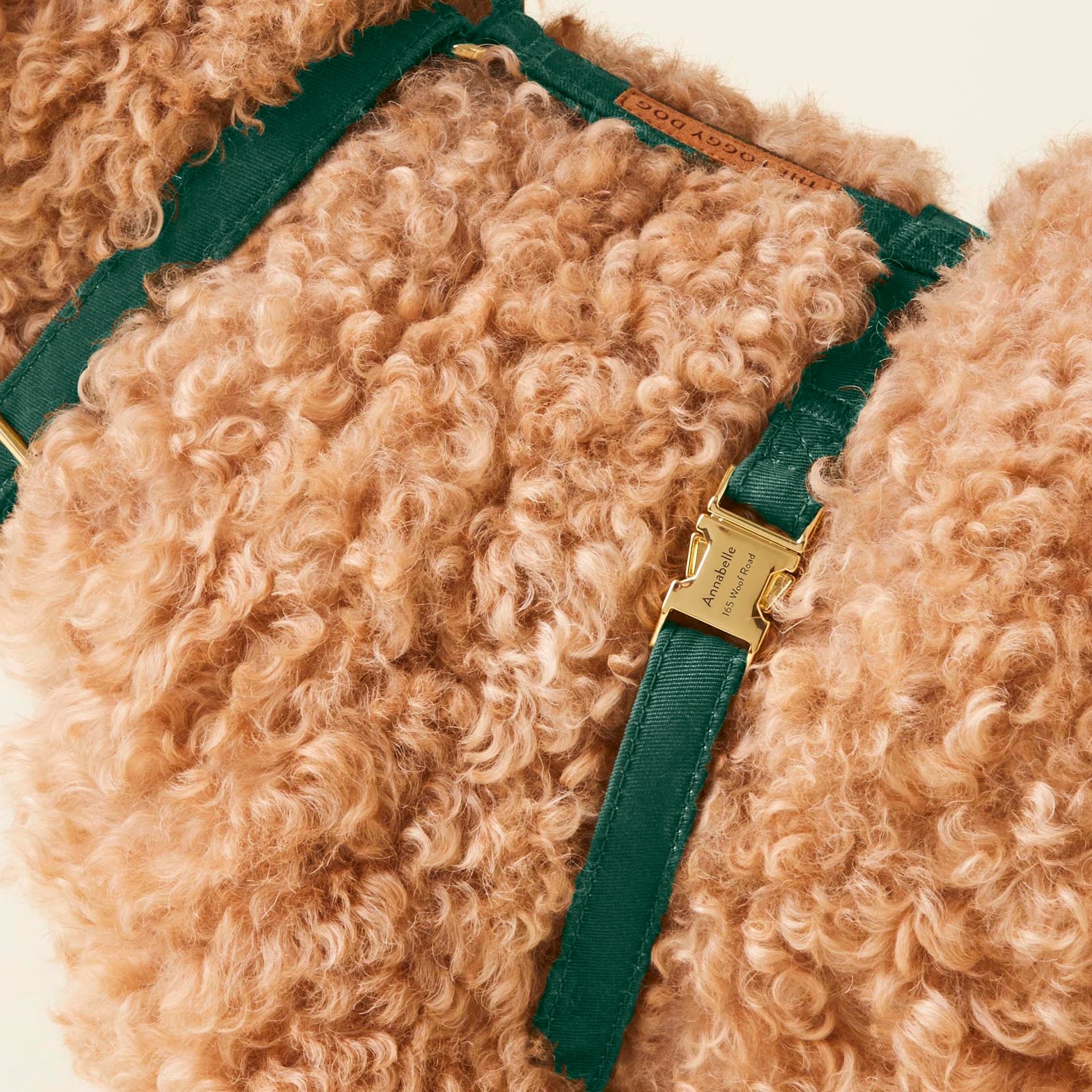 Evergreen Harness Walk Set