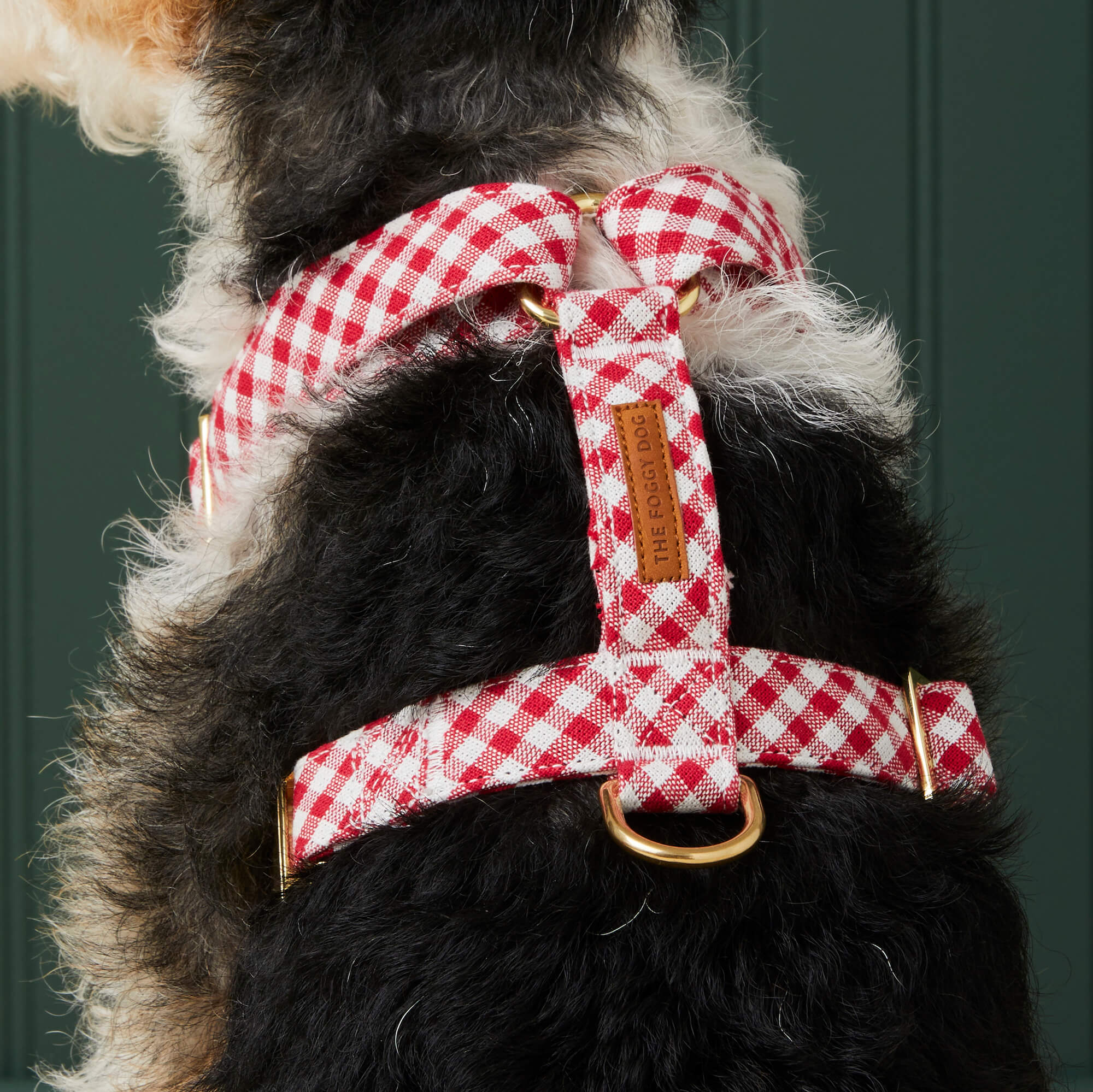 Red Gingham Dog Harness