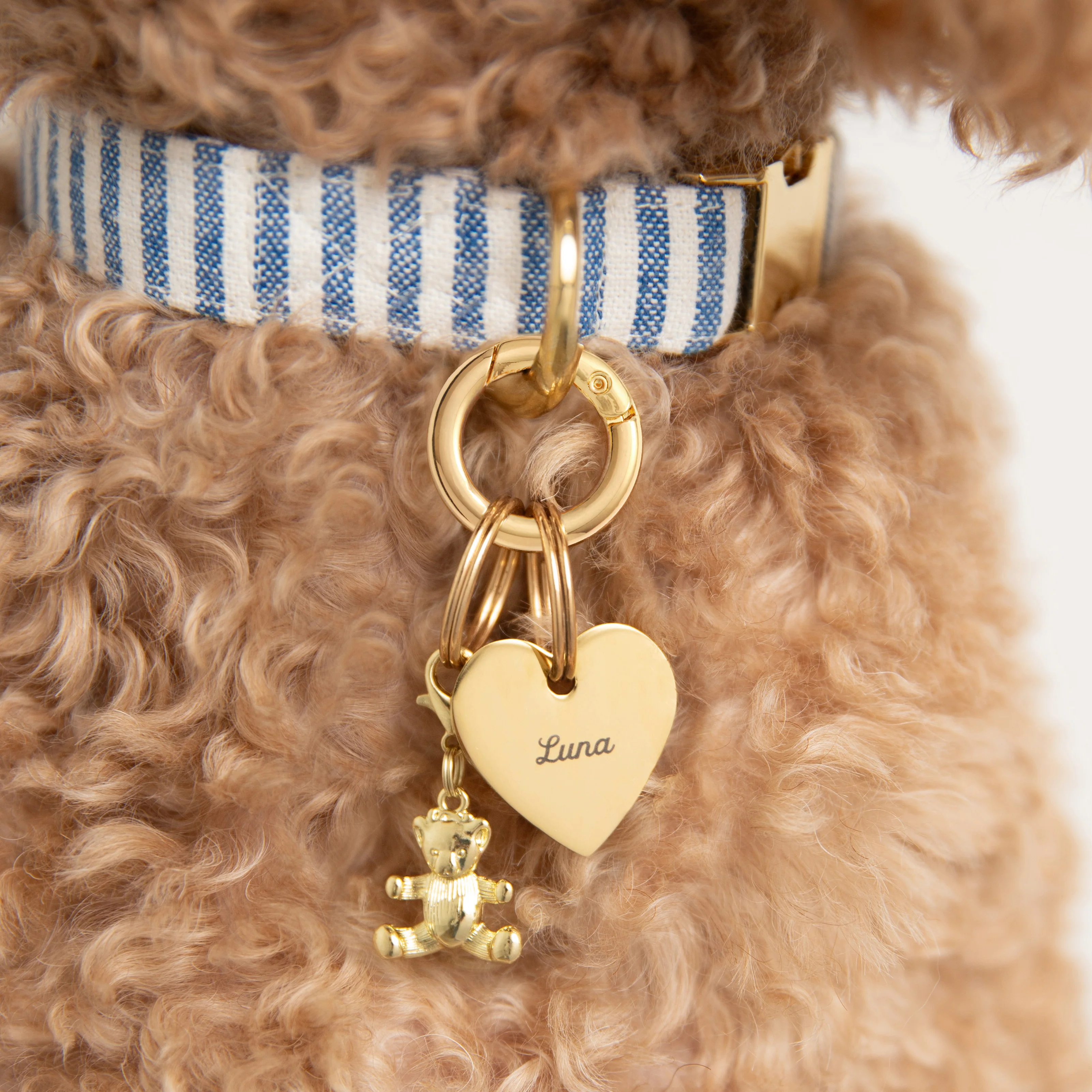 Love You Beary Much Collar Charm Set