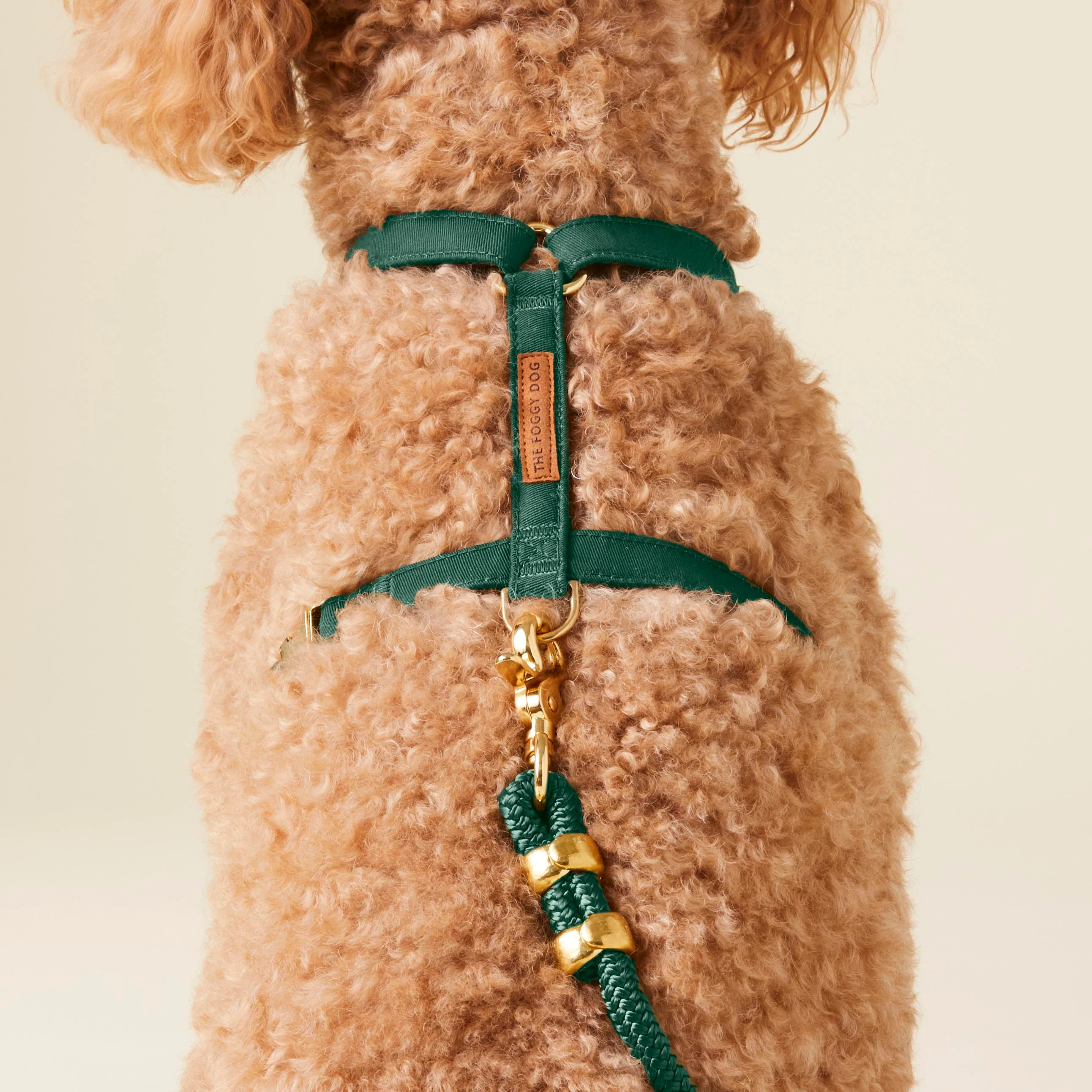 Evergreen Harness Walk Set