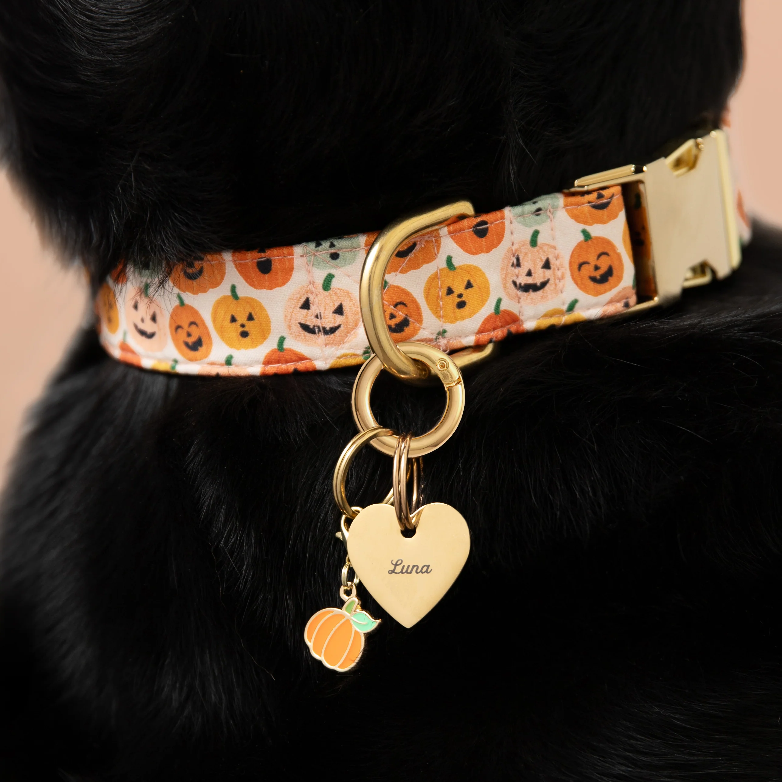 Pumpkin Collar Charm