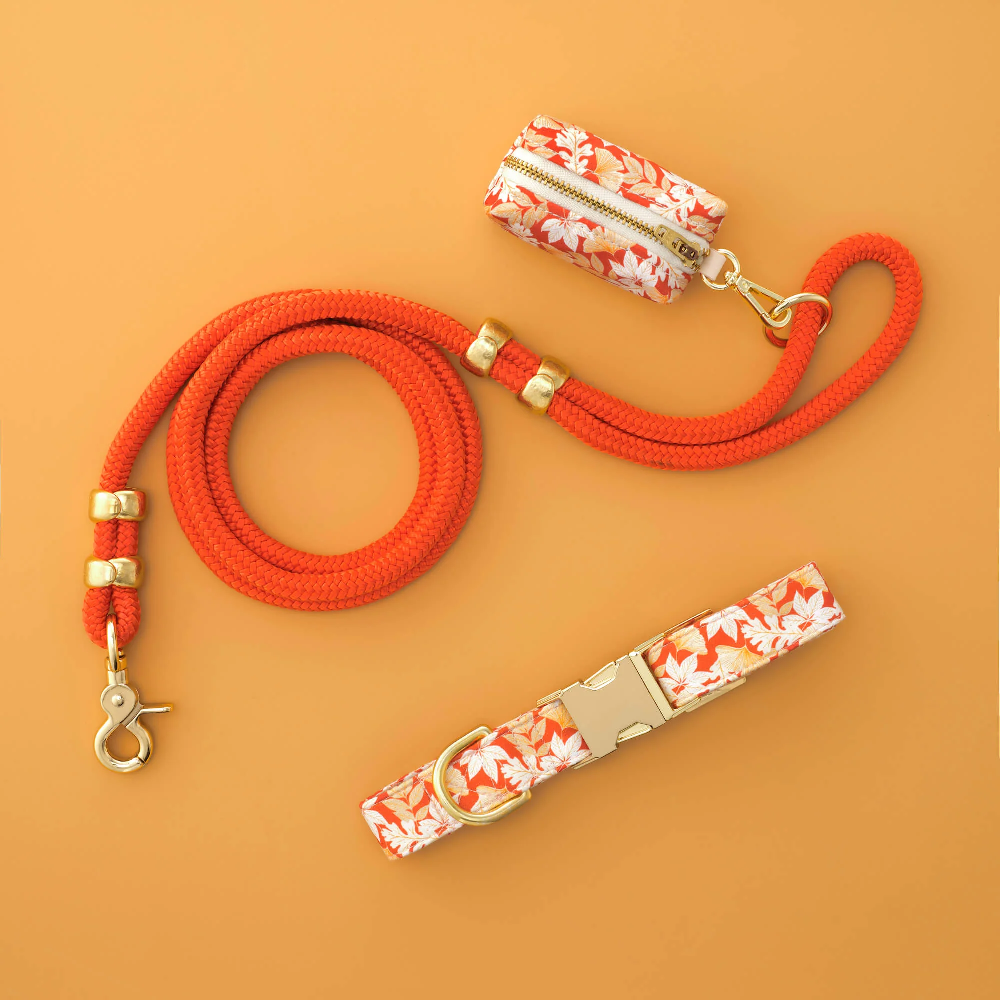 Autumn Leaves Rust Collar Walk Set