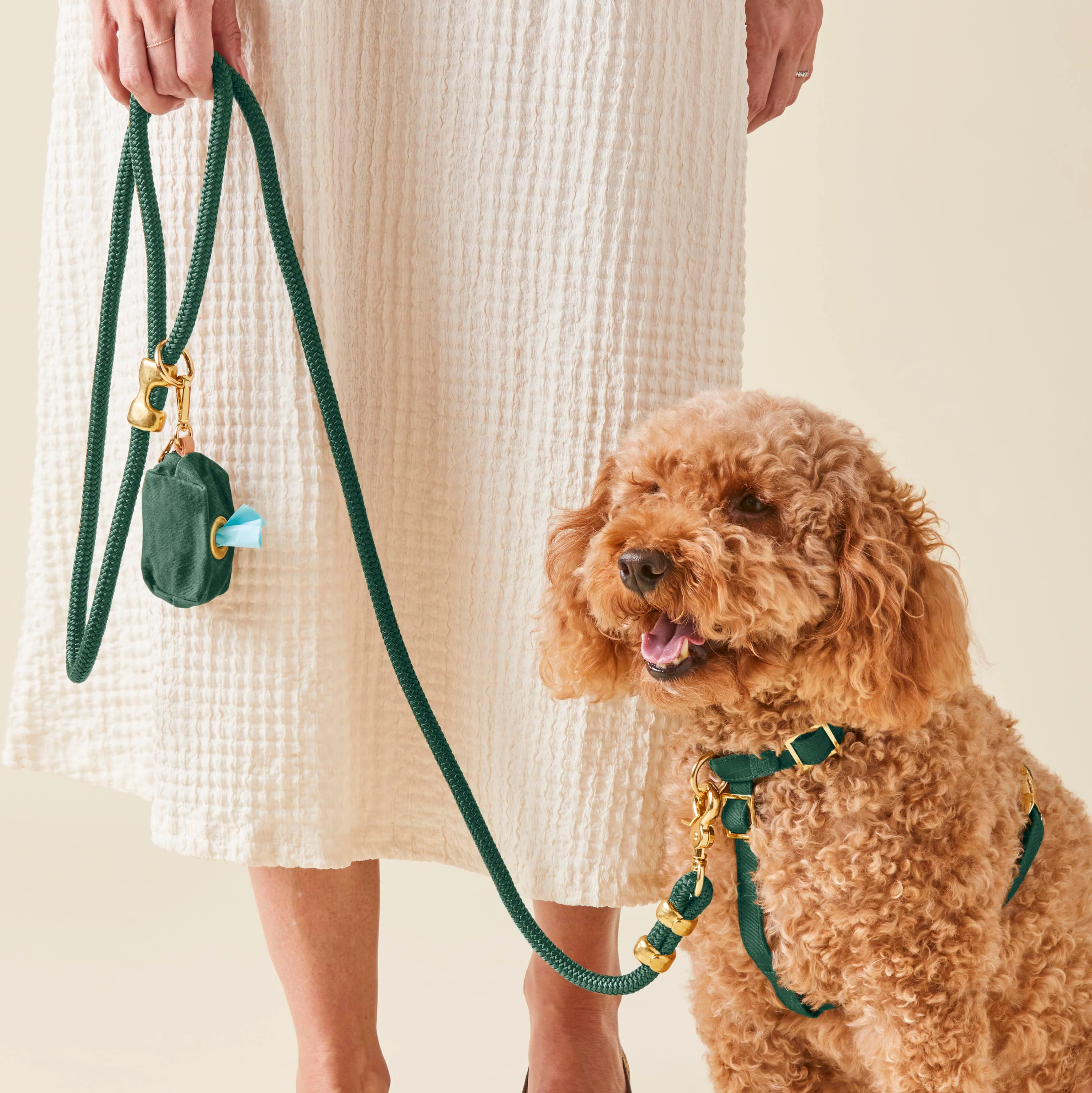 Evergreen Harness Walk Set