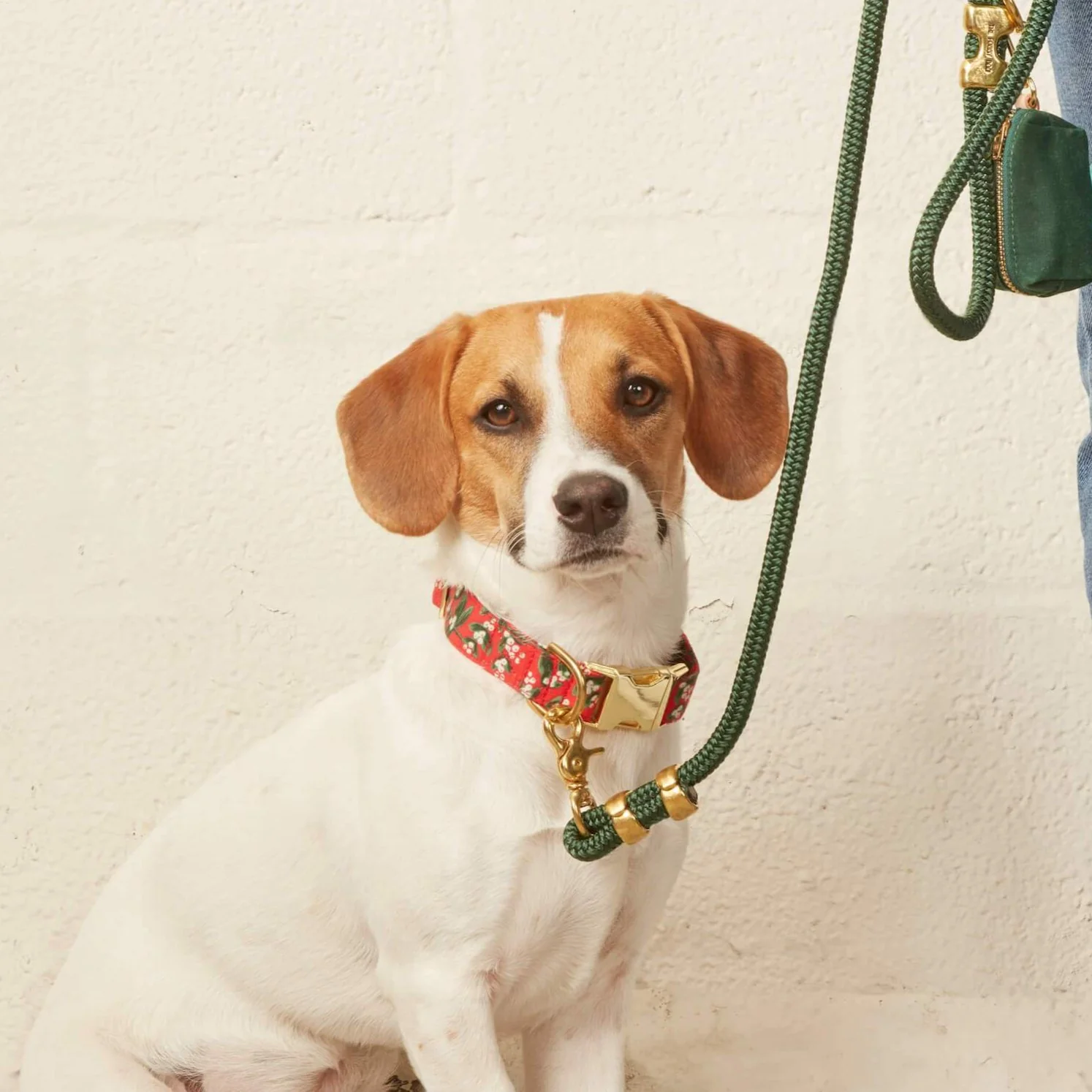 Rifle Paper Co. x TFD Mistletoe Dog Collar