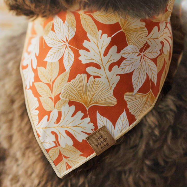 Autumn Leaves Rust Dog Bandana