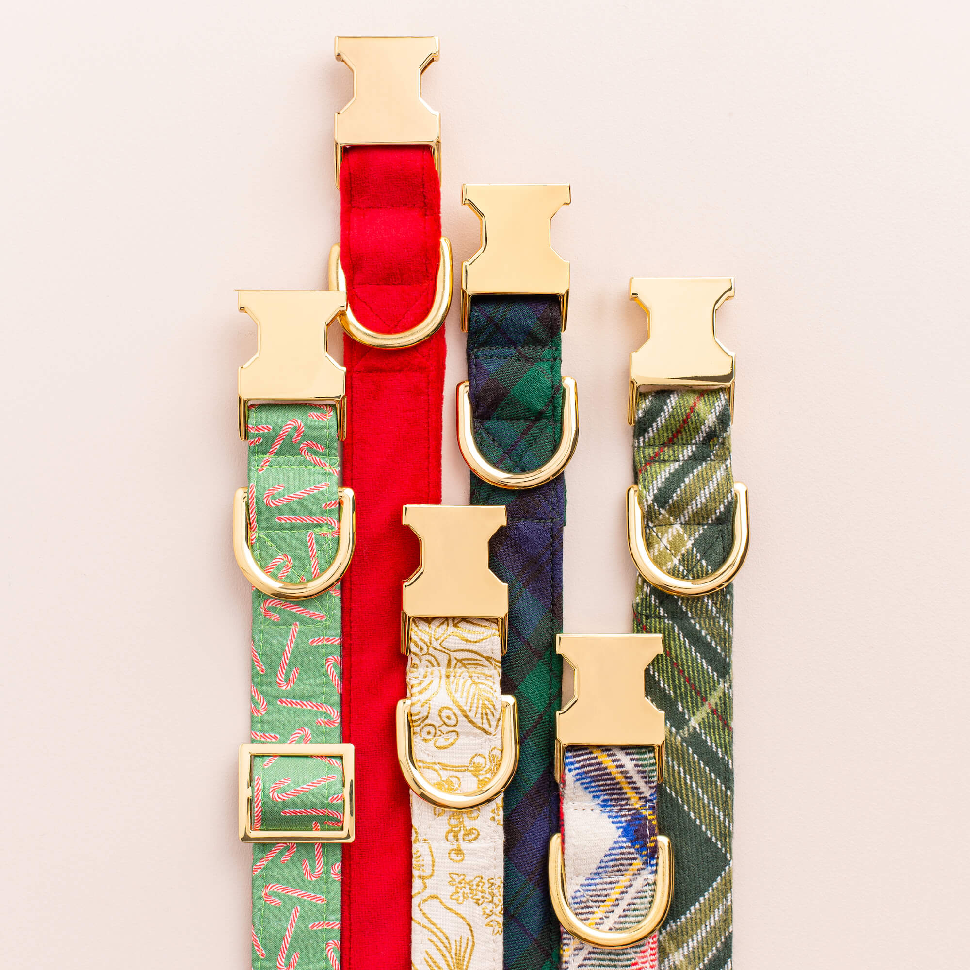 Hooked On You Dog Collar