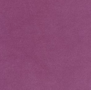 Plum Velvet Dog Collar