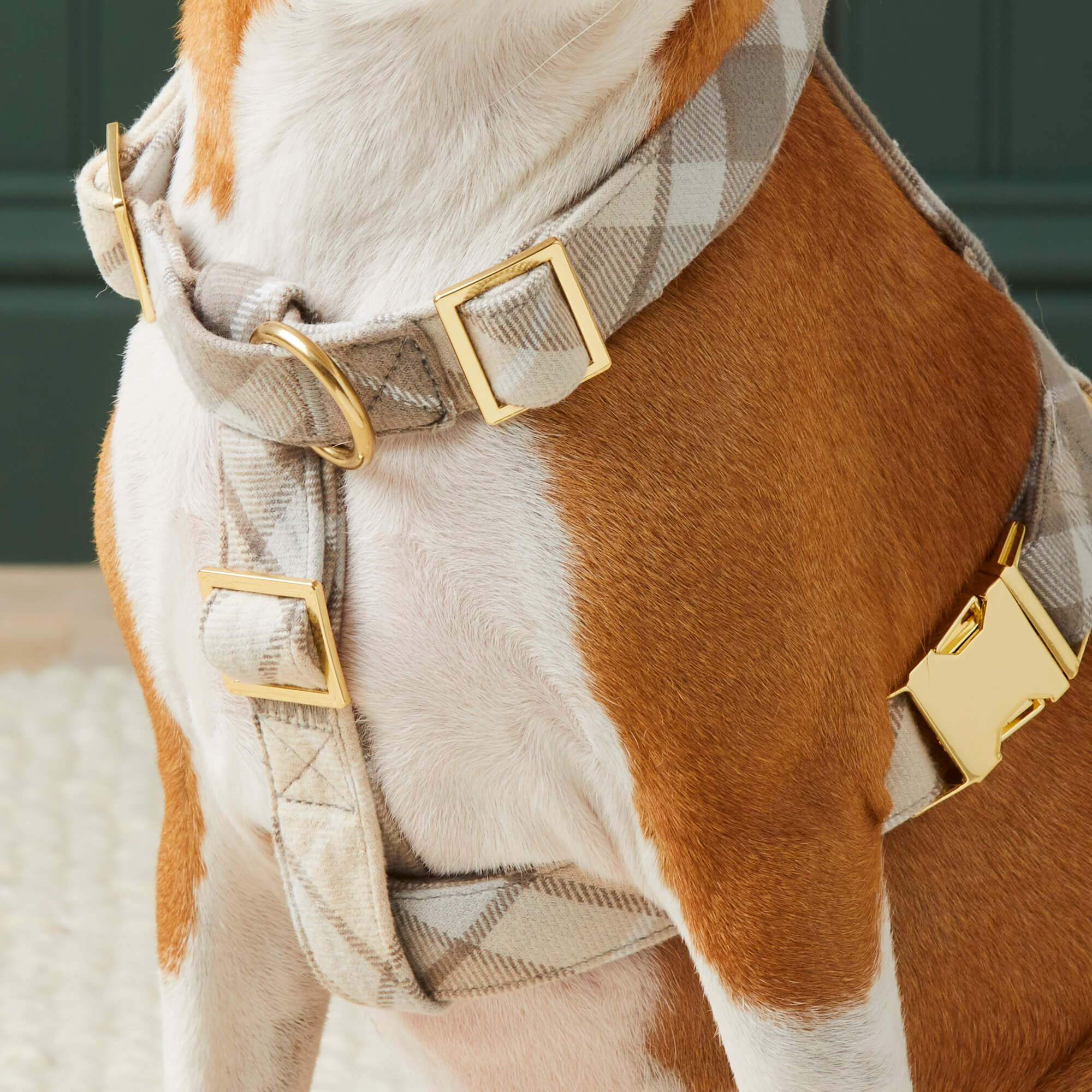 Andover Plaid Flannel Dog Harness