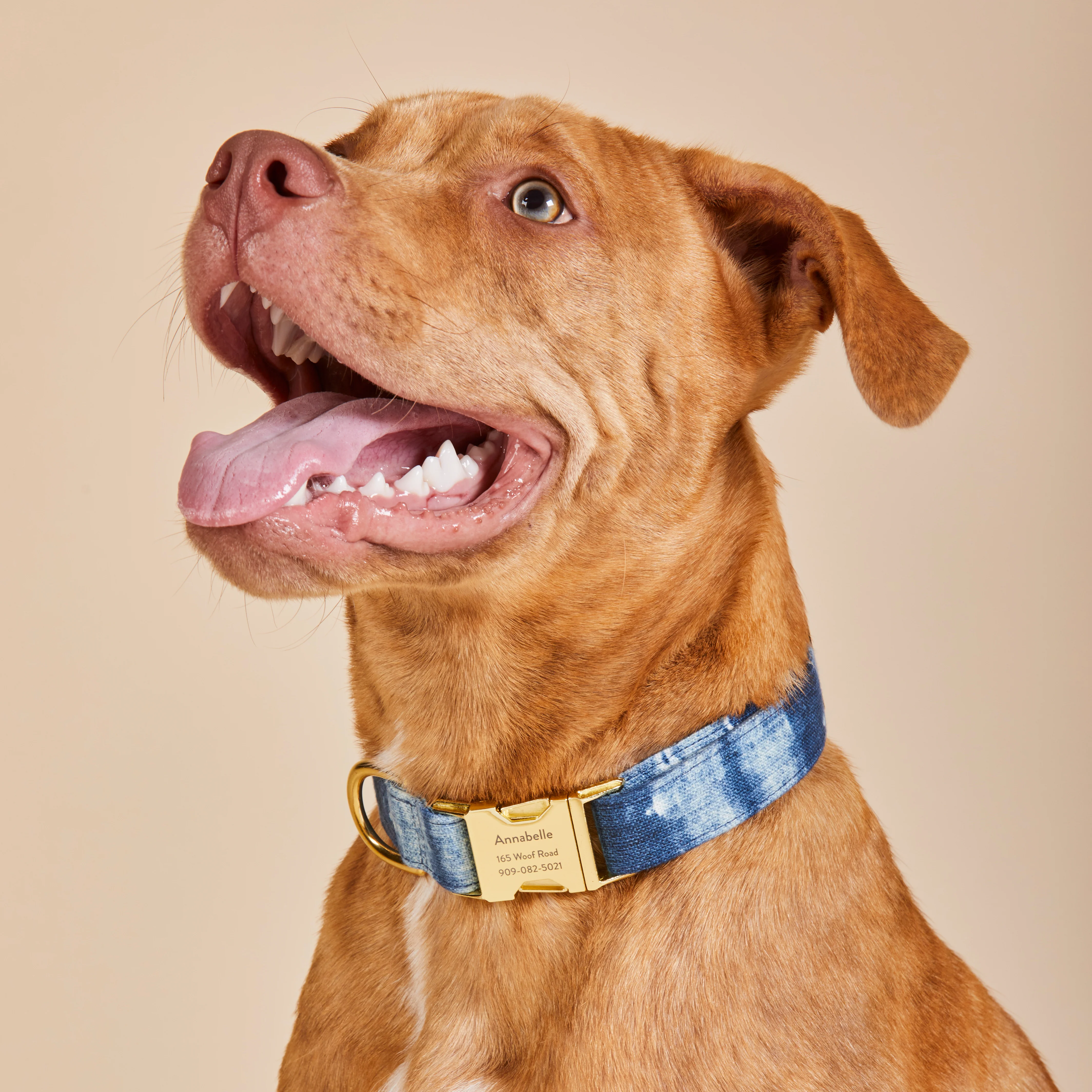 Indigo Mud Cloth Dog Collar