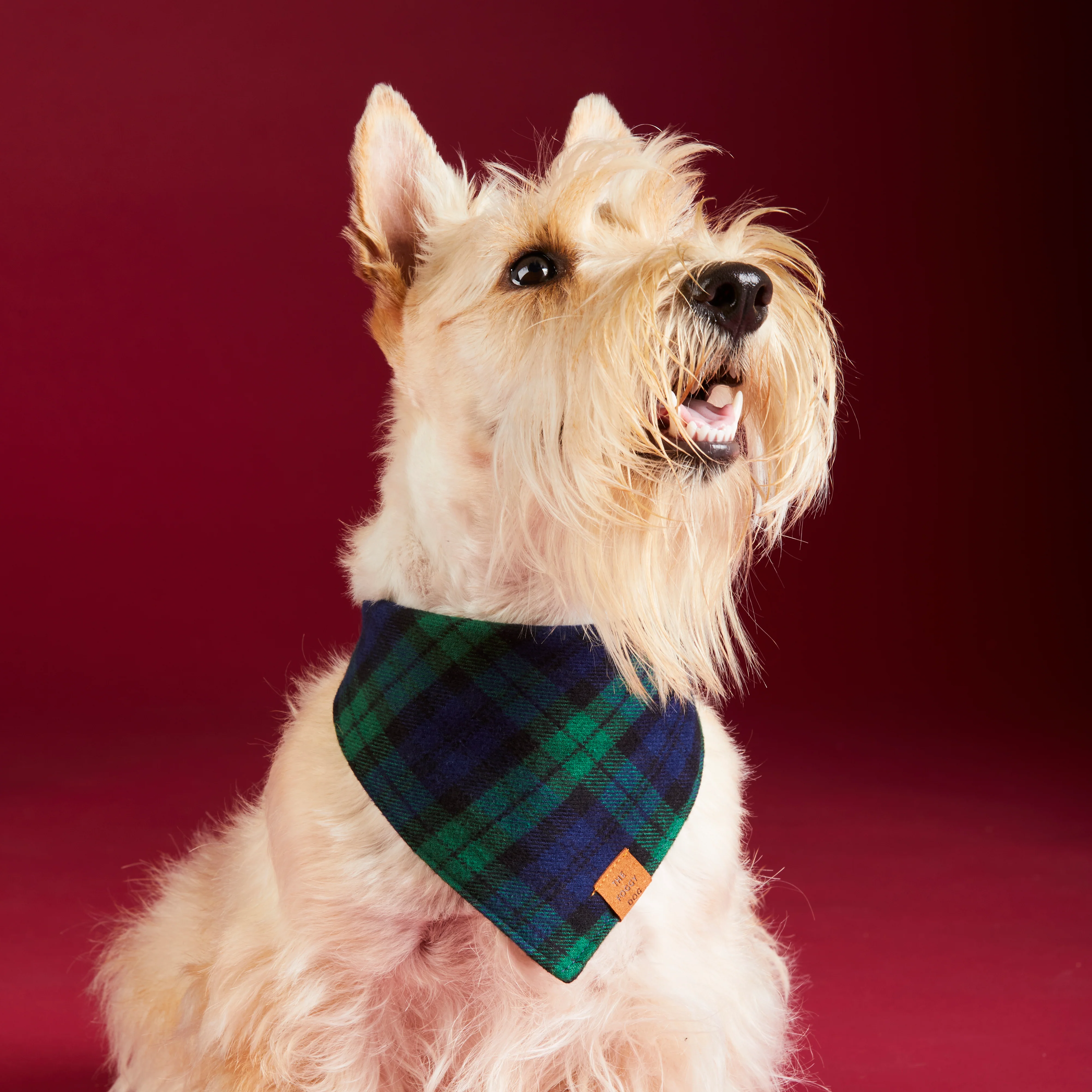 Black Watch Plaid Flannel Dog Bandana